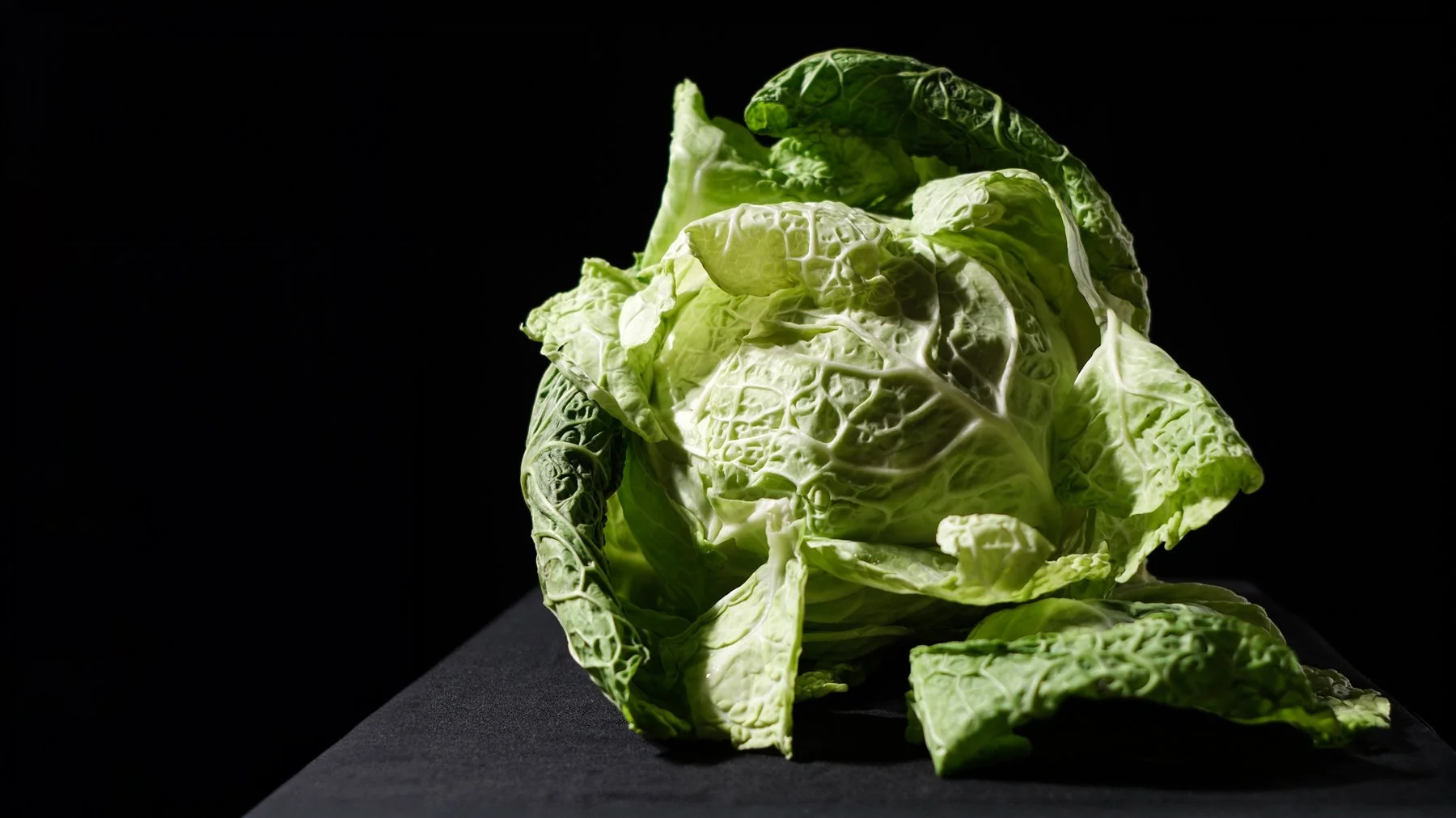 stilllifebanner3.jpg