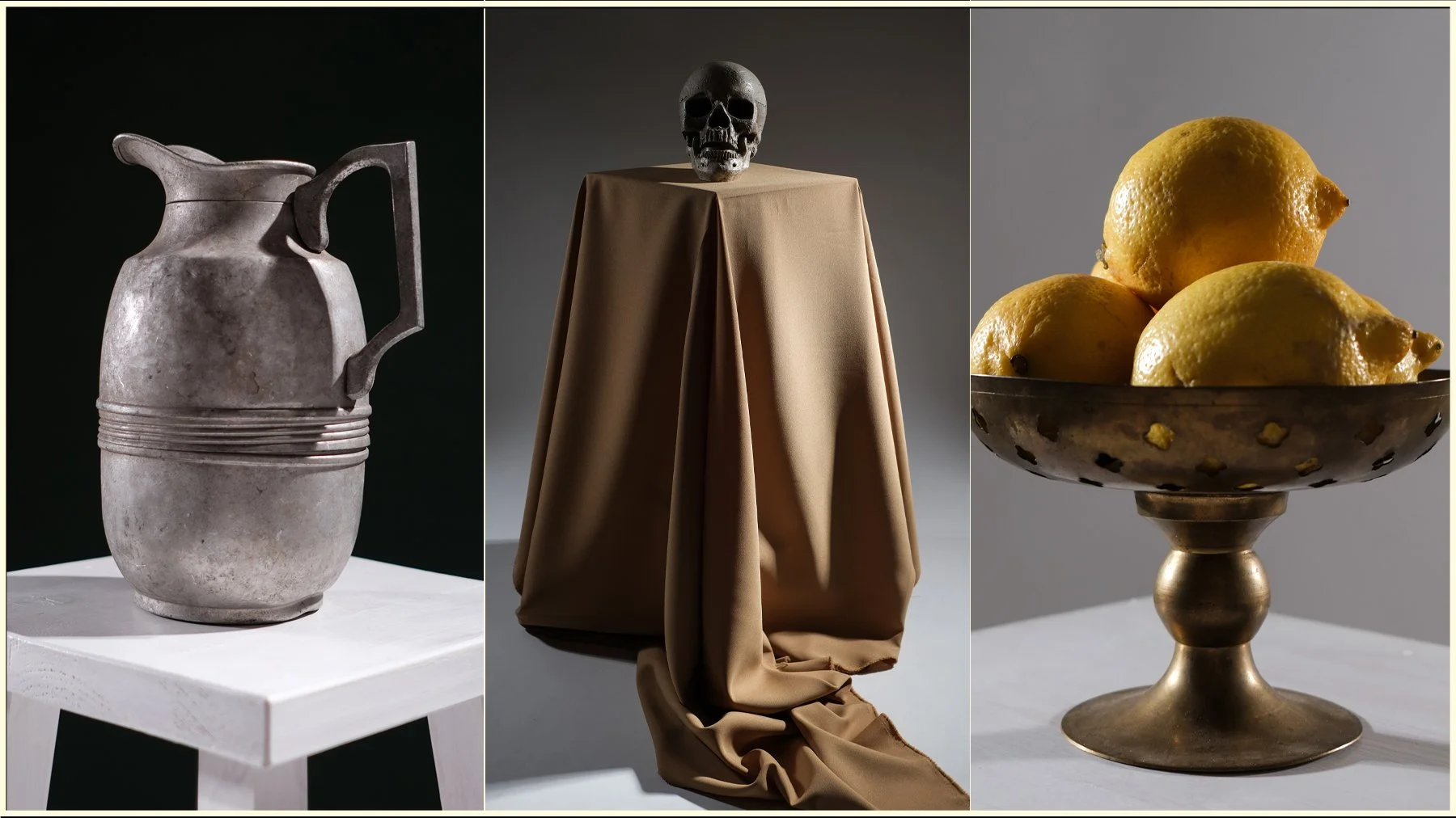 stilllifebanner1.jpg