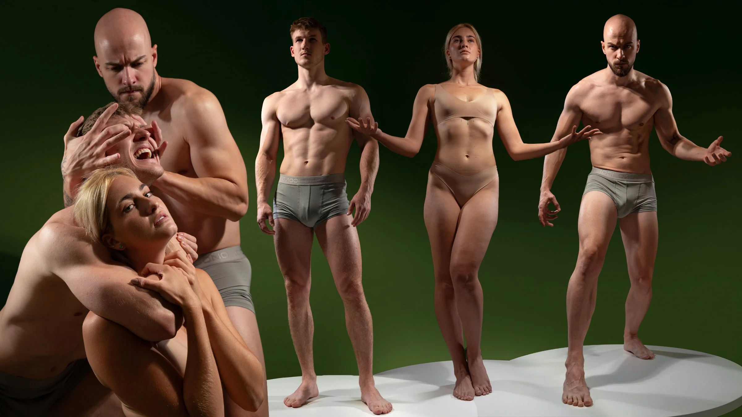 banneranatomica6.jpg