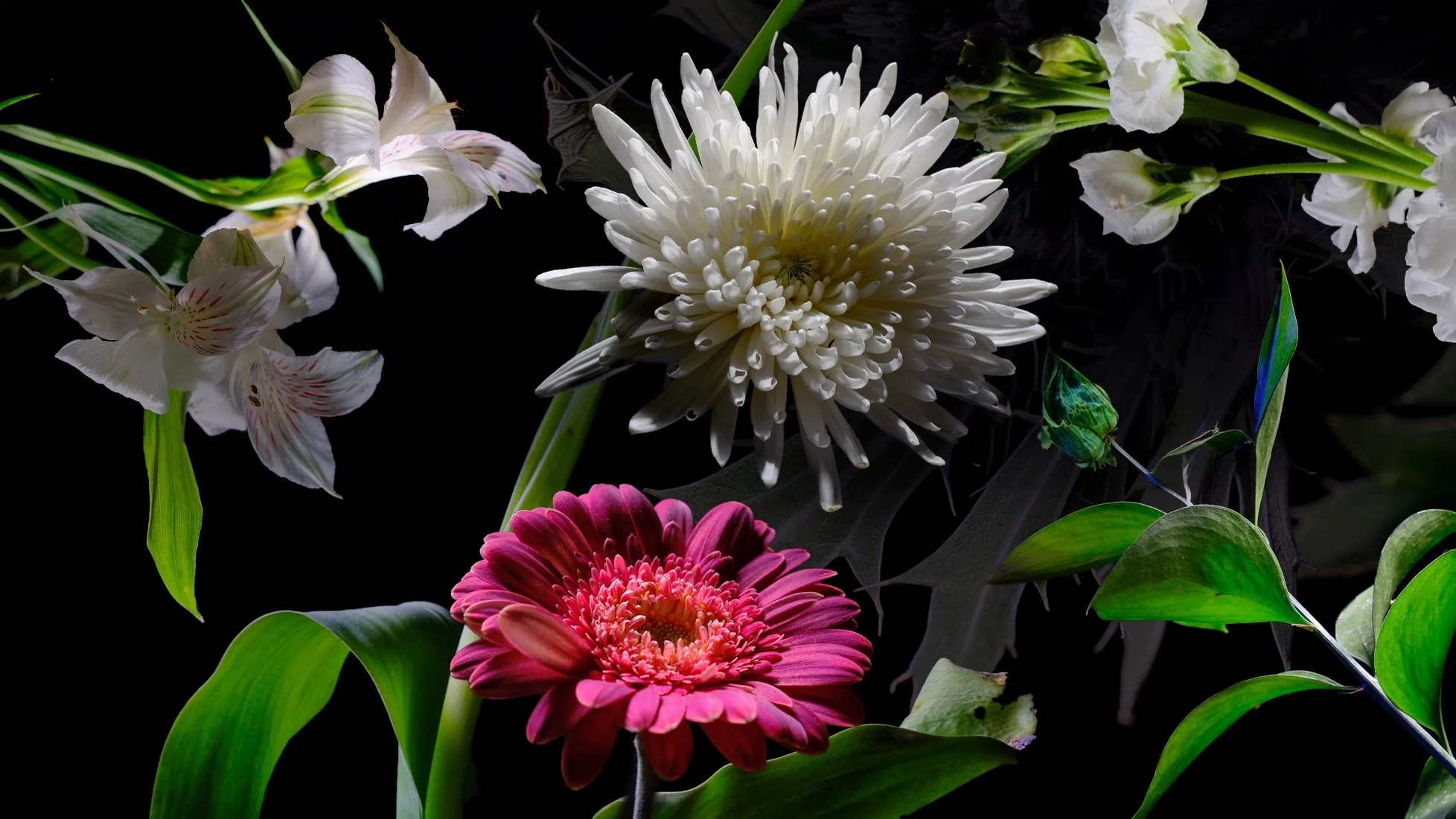 Flowersbanner1.jpg