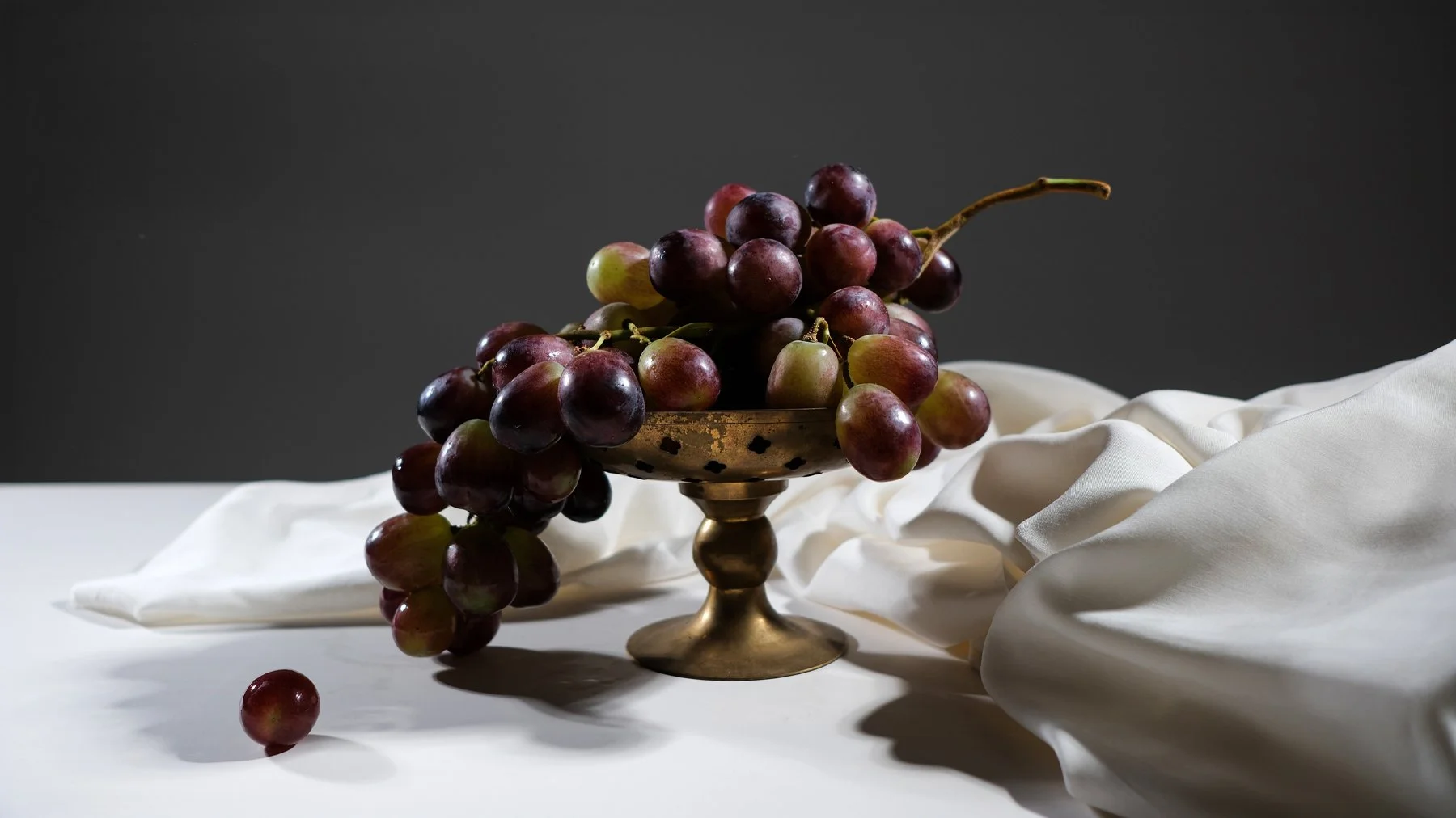 stilllifebanner2.jpg
