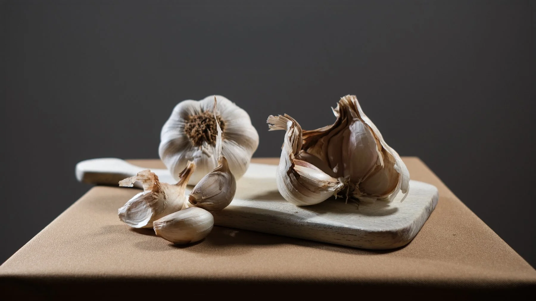stilllifebanner6.jpg
