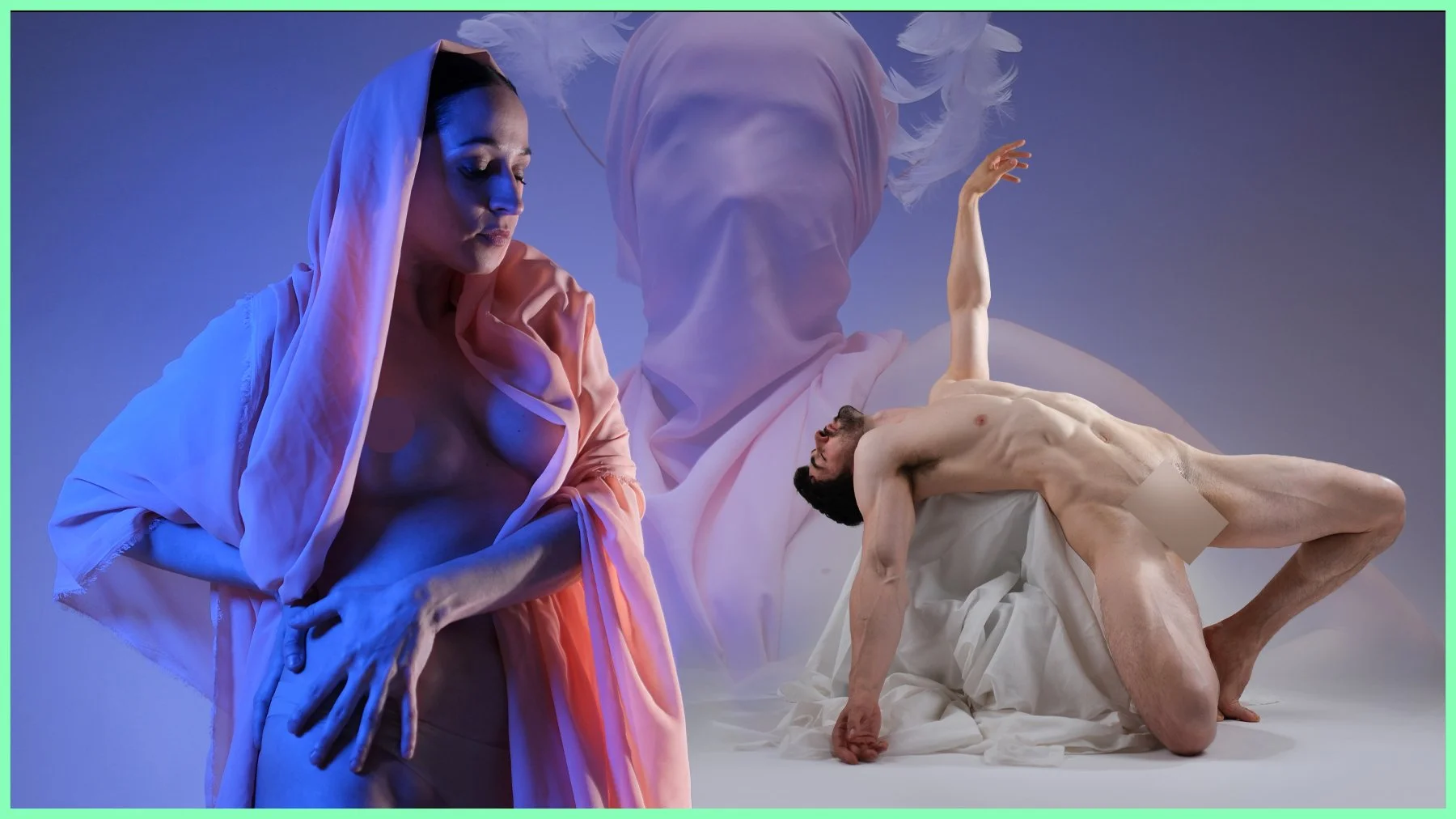A Delicate Poses- Reference Photo Pack for Artists- 611 JPEGs