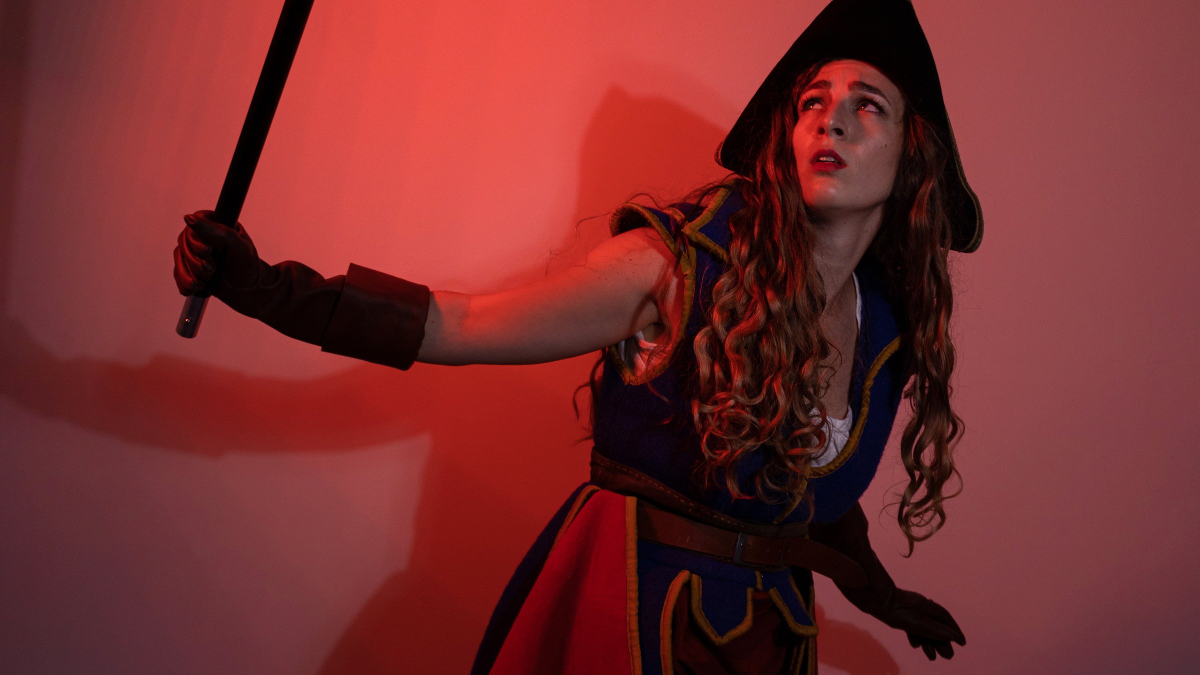pirateladybanner3.jpg