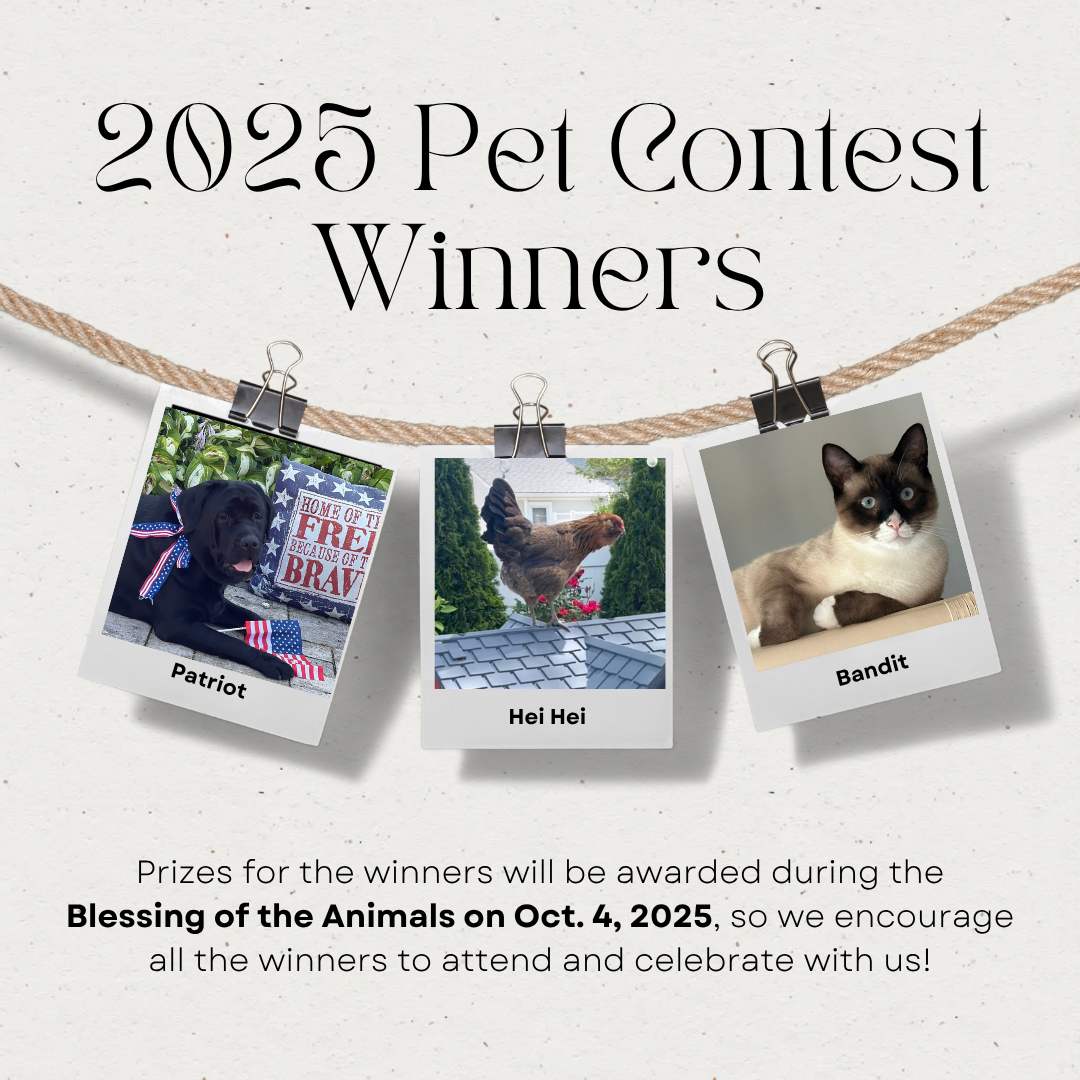 St. Francis Pet Contest – Winners Announced!