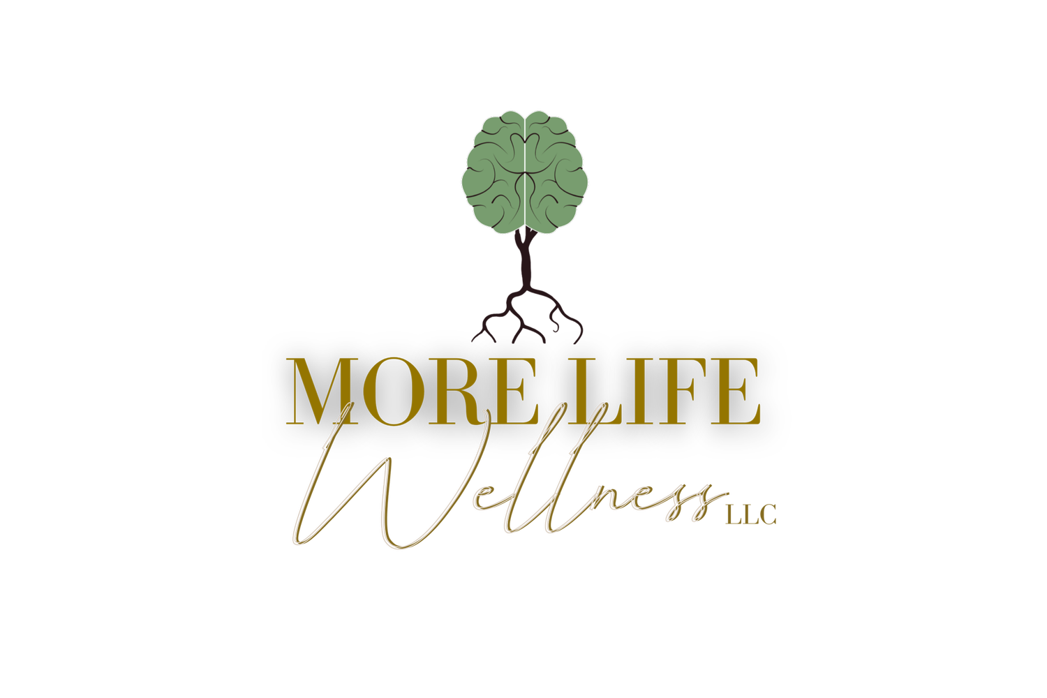 More Life Wellness LLC Black Therapist In Jacksonville FL more-life-wellness-llc-black-therapist-in-jacksonville-fl
