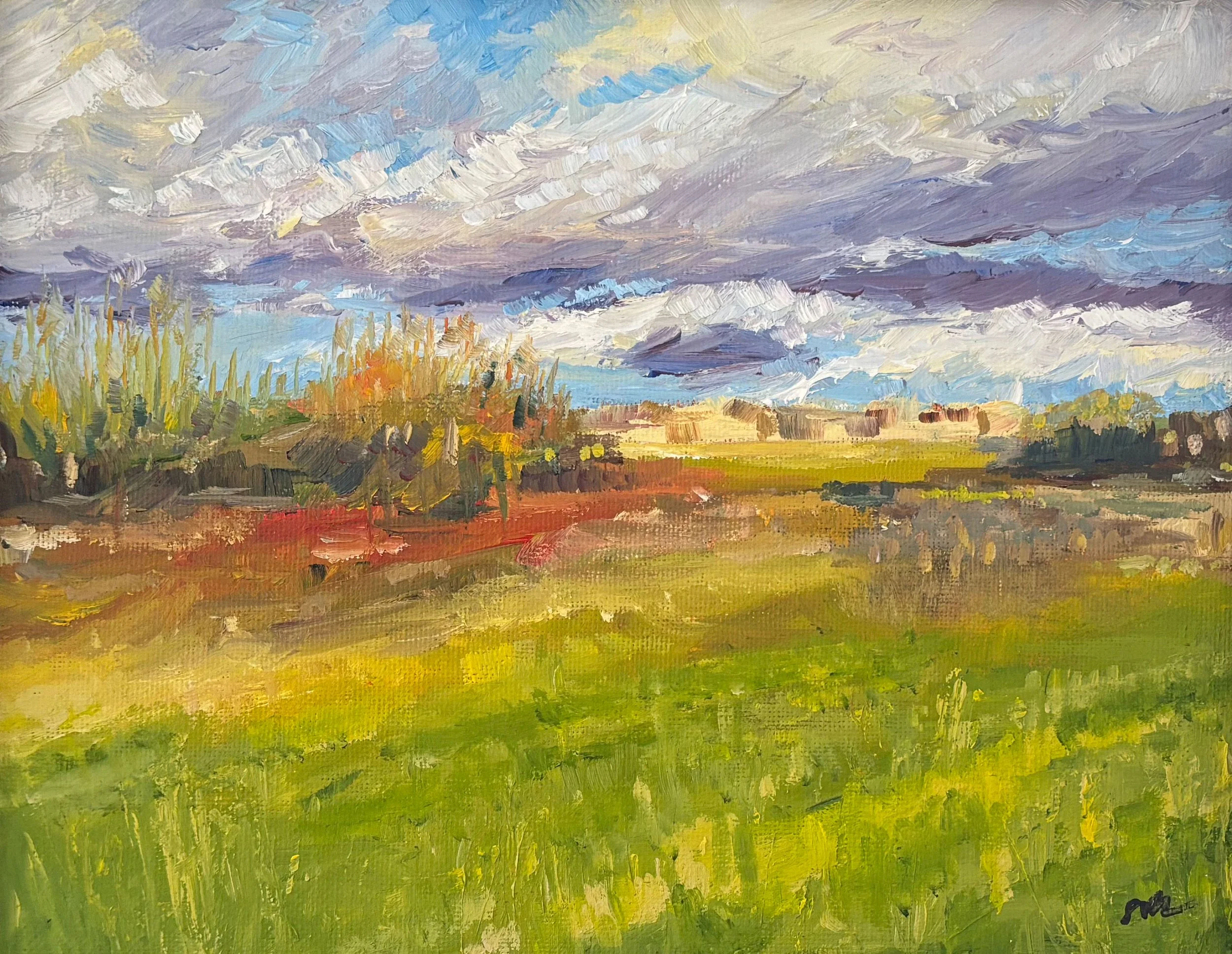 Looking over to Newlands
original acrylic