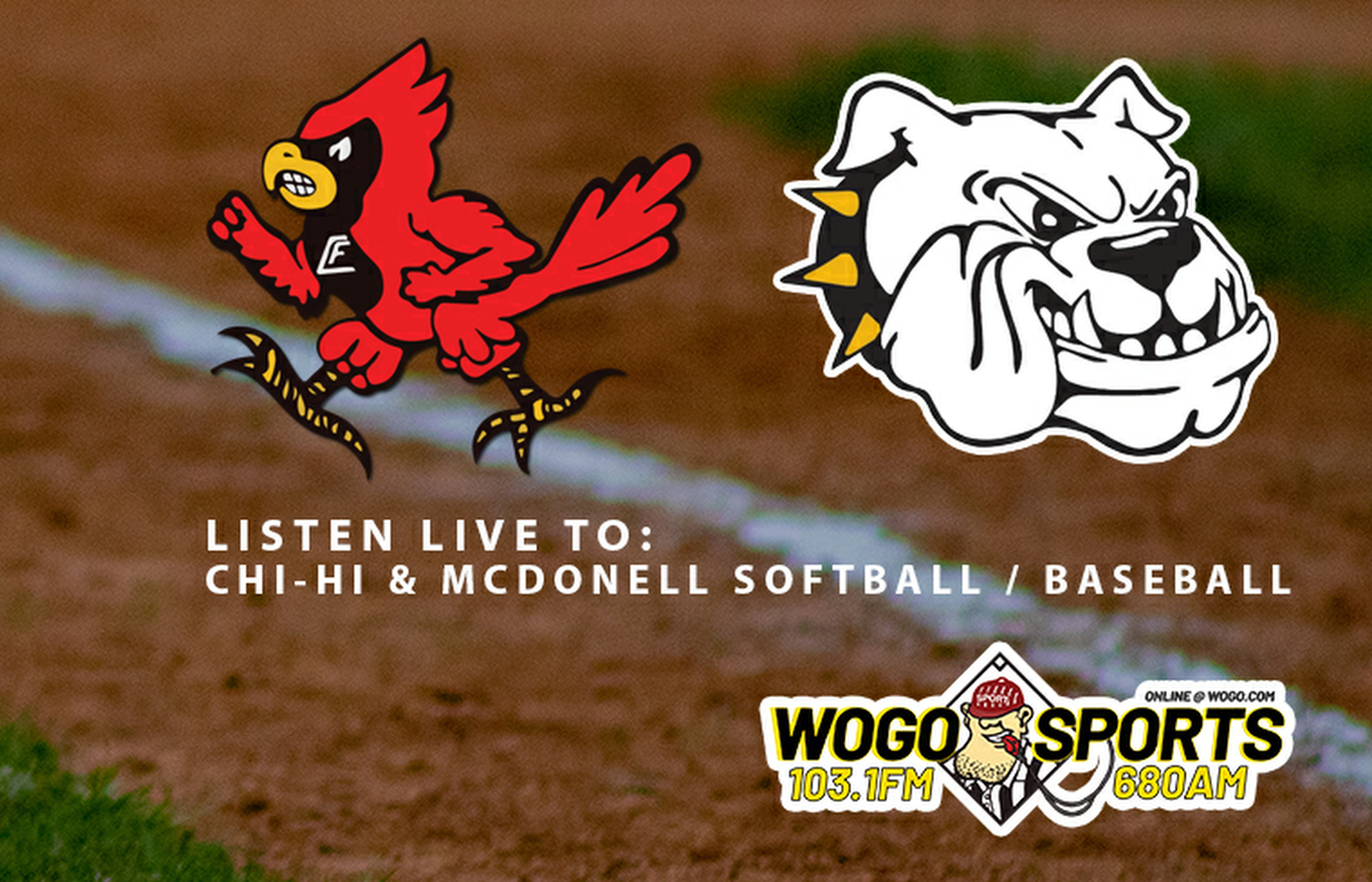 WOGO Sports - Baseball and Softball Web Banner.png