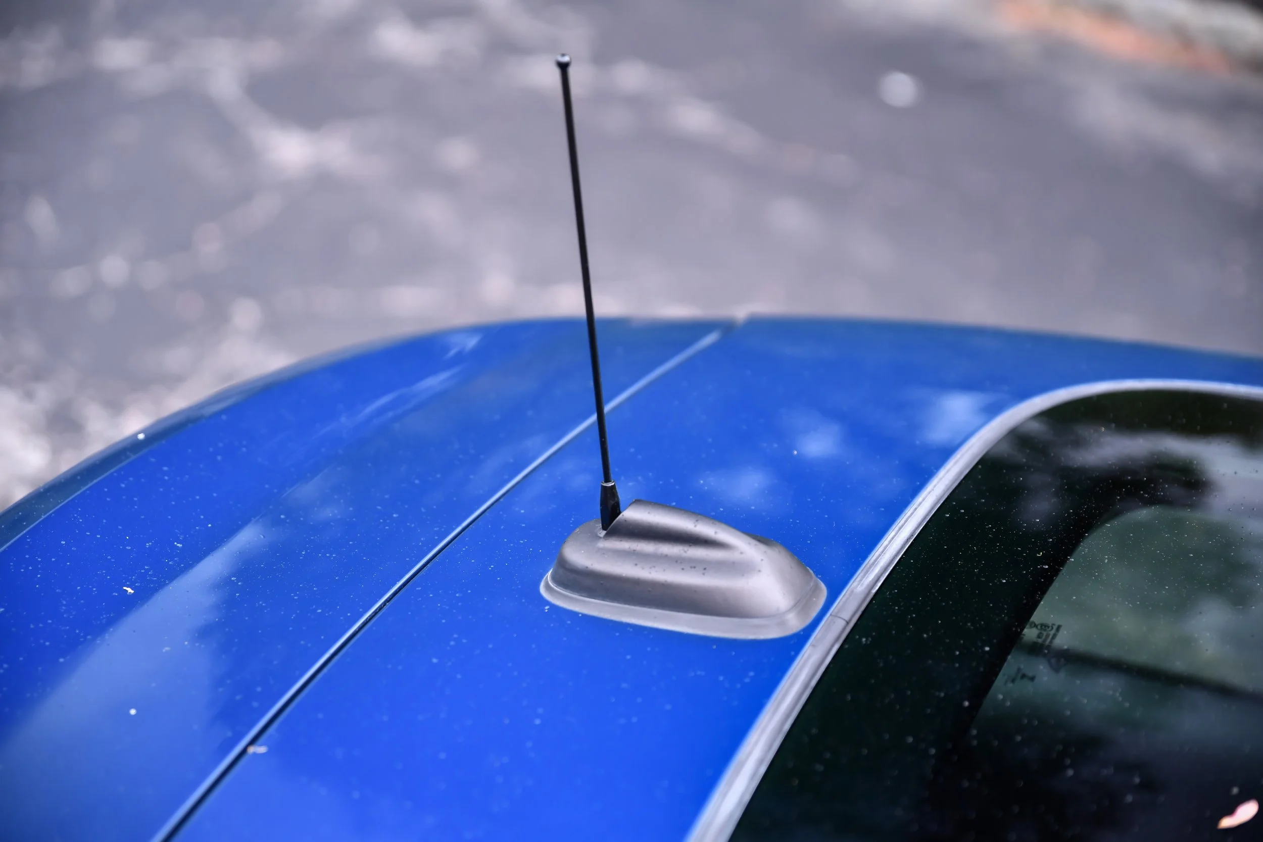 DSC_5364.jpg