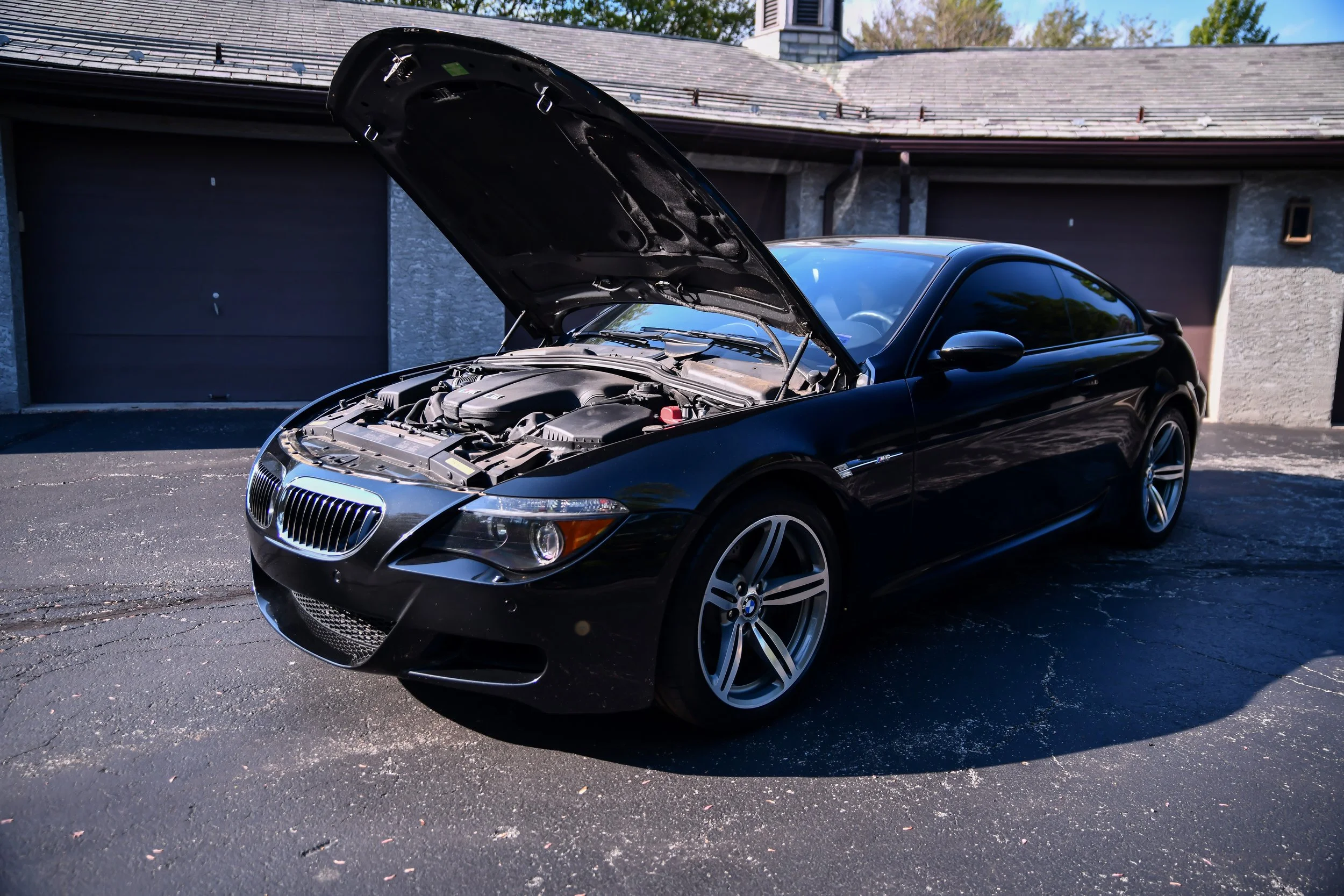 DSC_5525.jpg