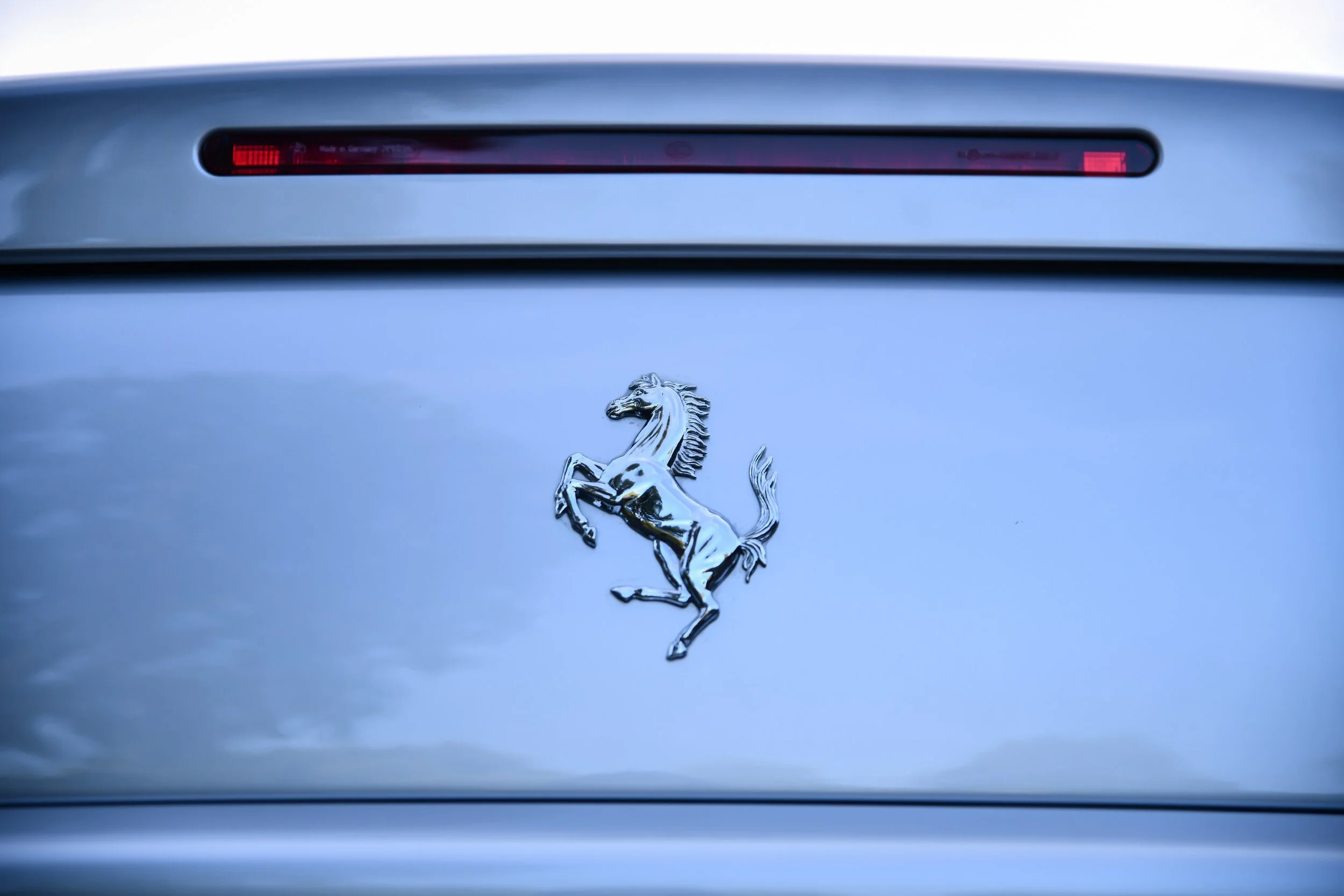 DSC_7613.jpg