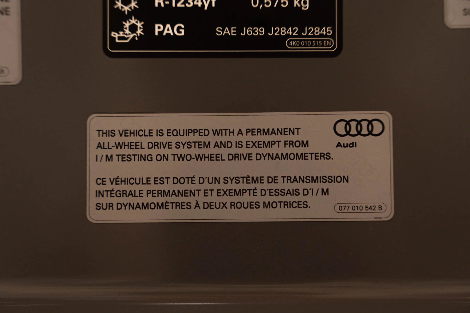 DSC09656.jpg