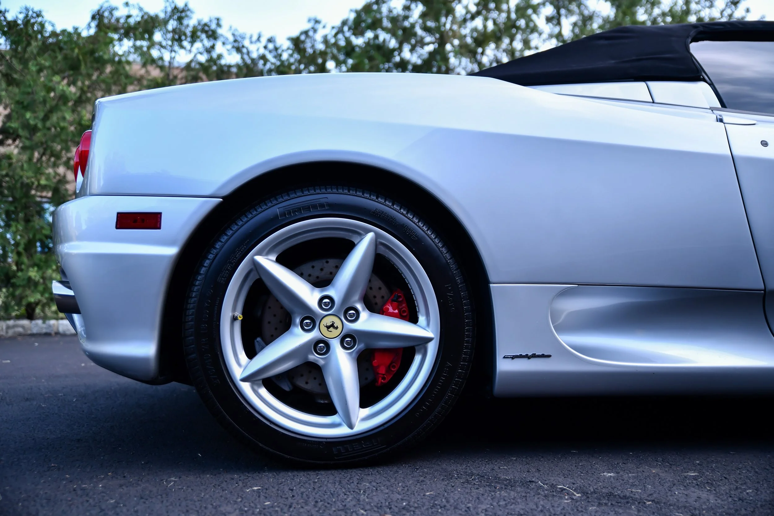DSC_7623.jpg