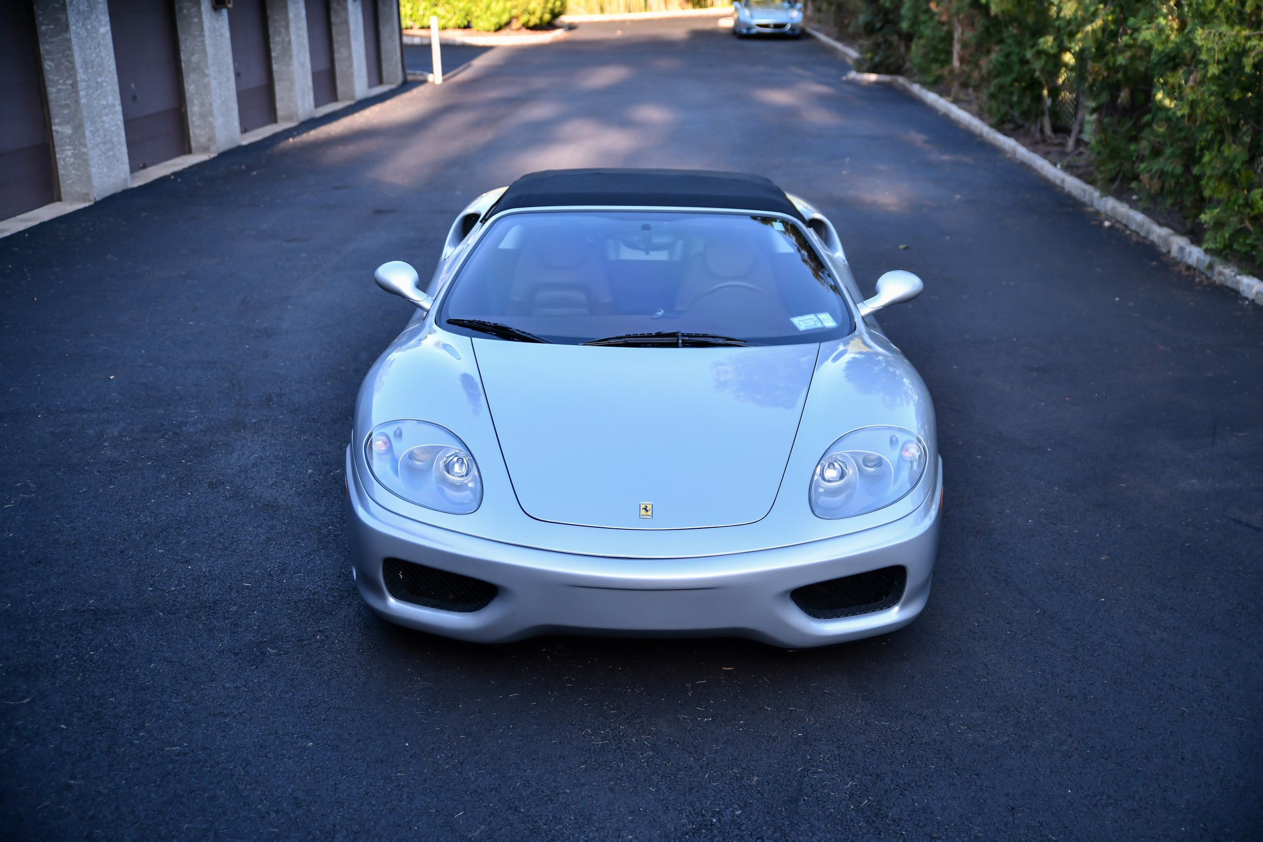 DSC_7559.jpg