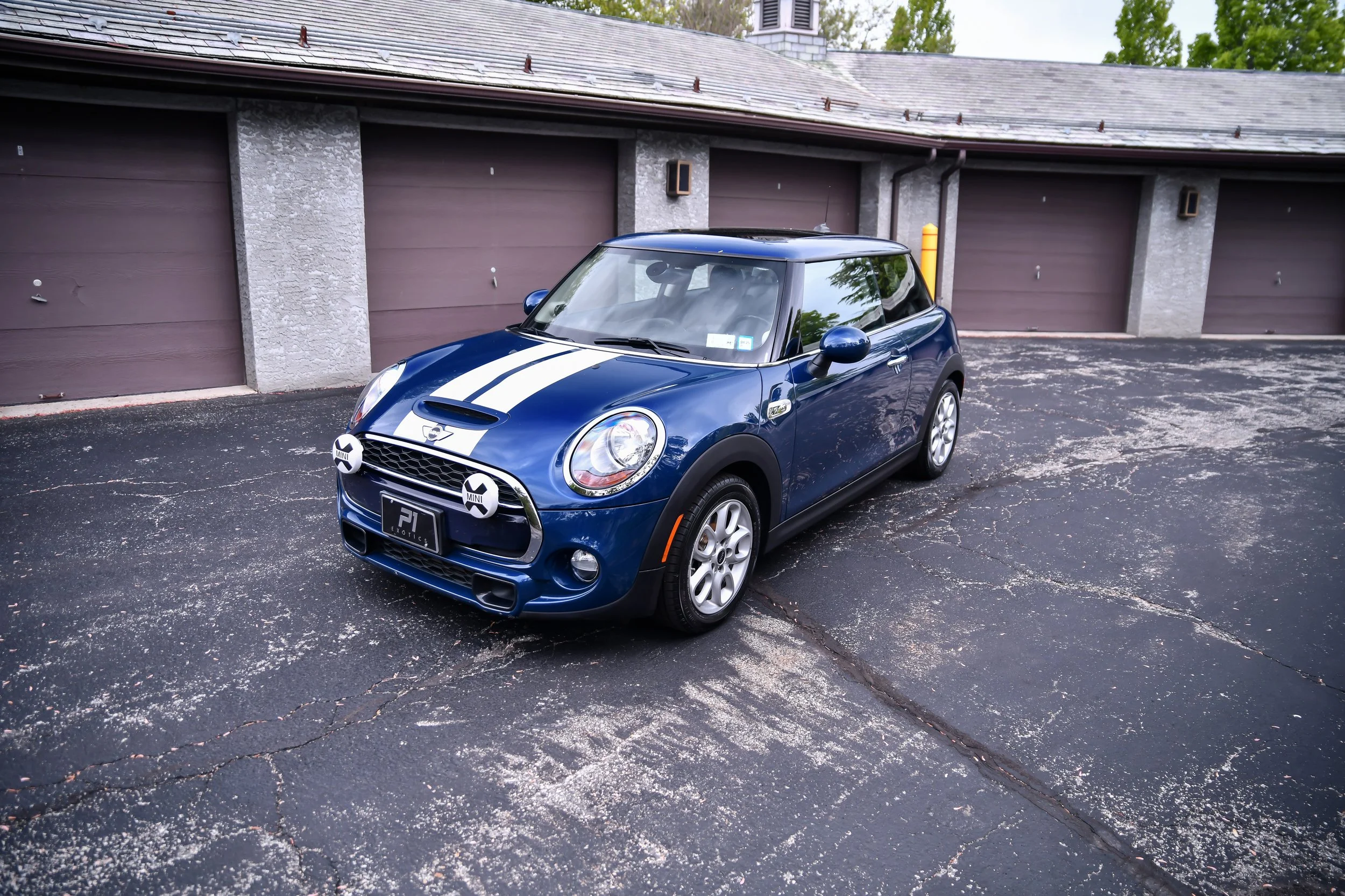 DSC_5387.jpg