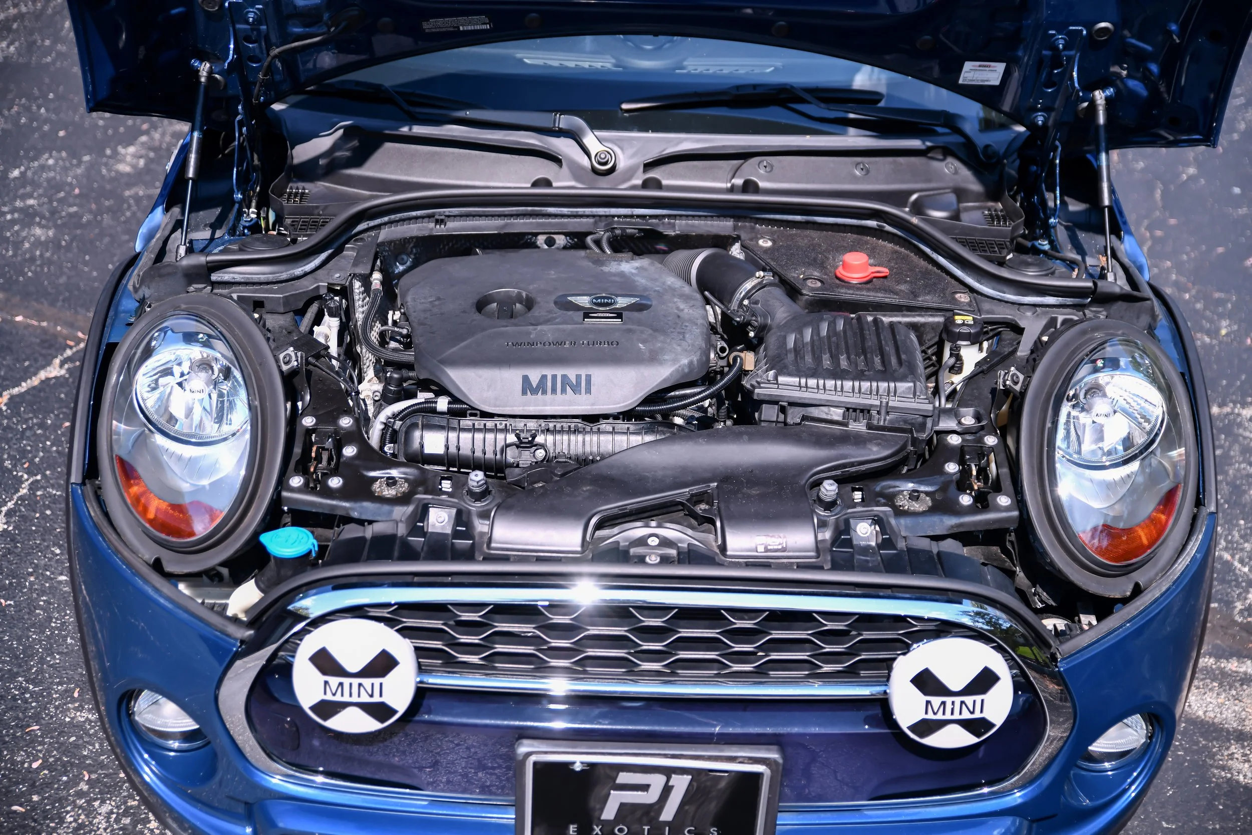 DSC_5427.jpg