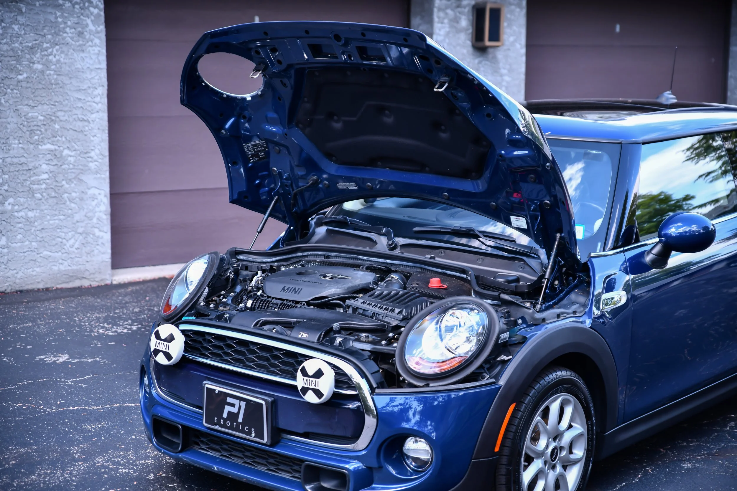 DSC_5418.jpg