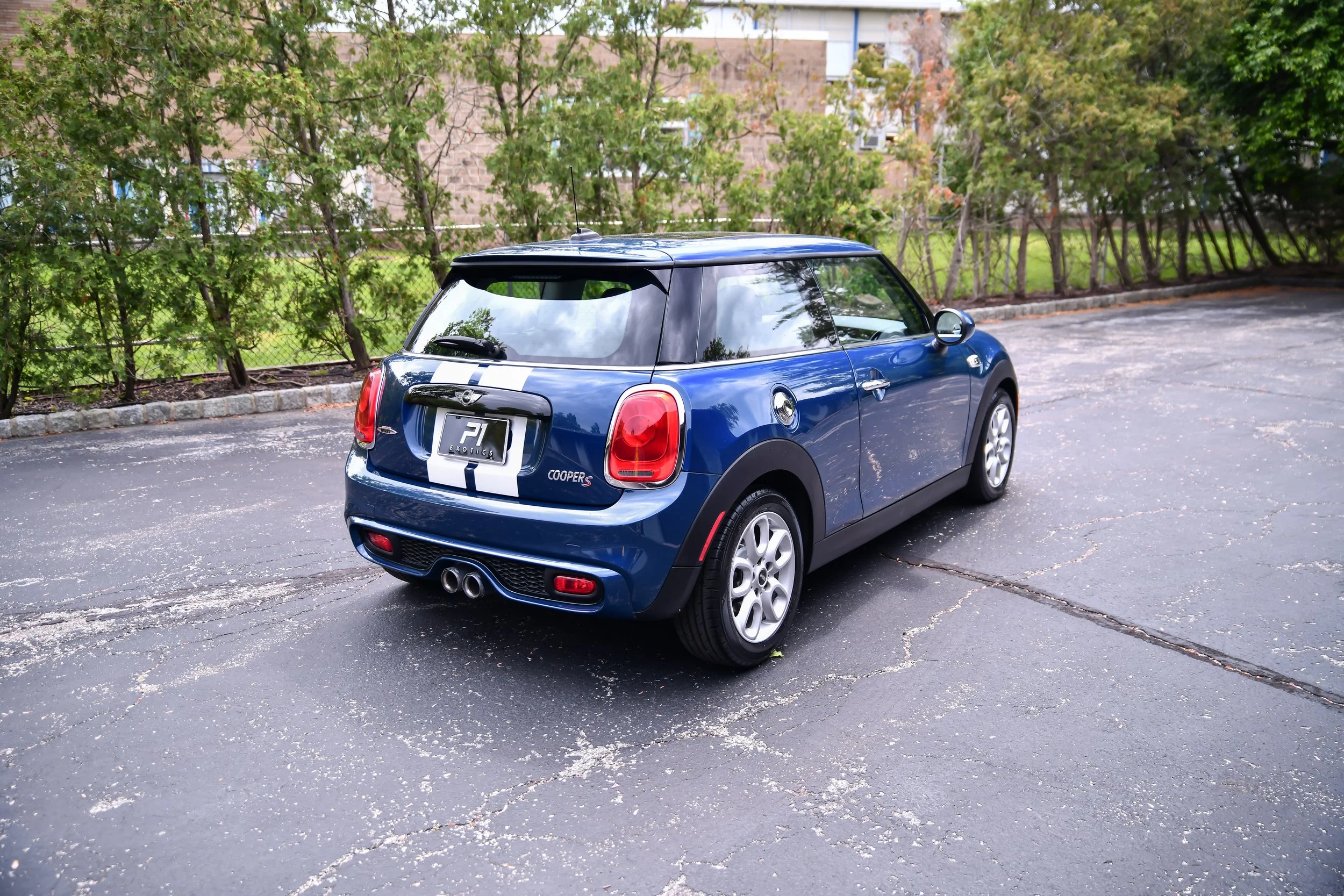 DSC_5391.jpg