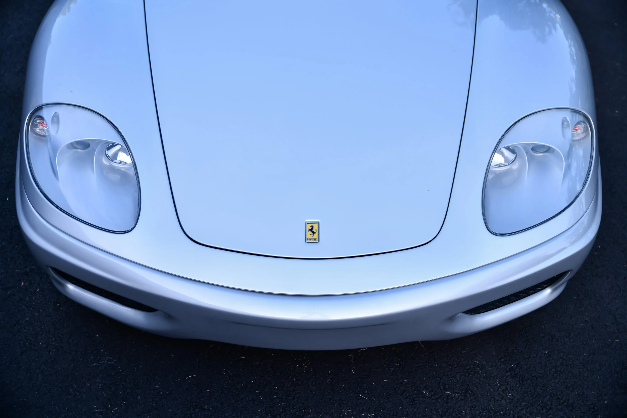 DSC_7593.jpg