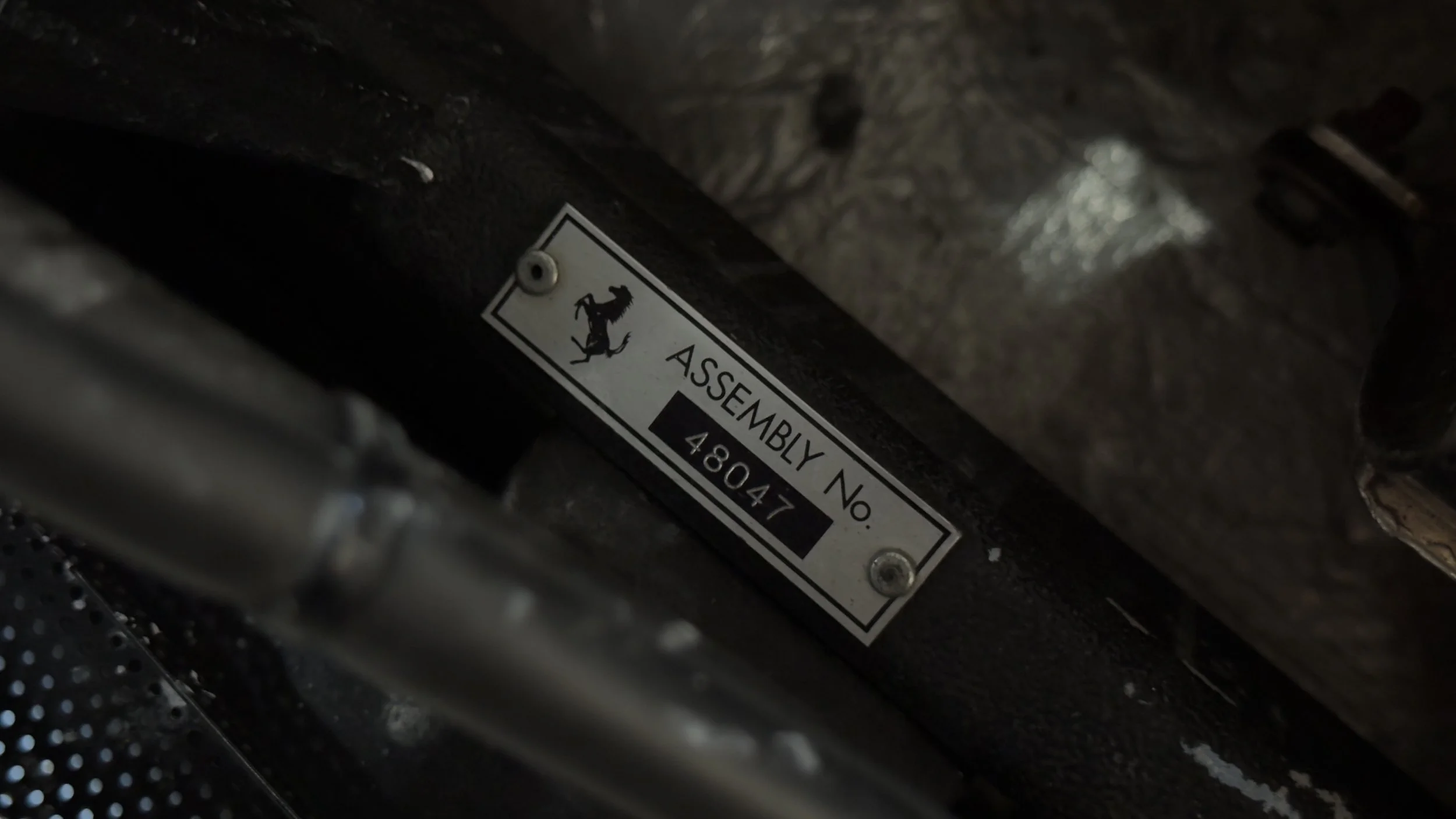 IMG_0123.jpg