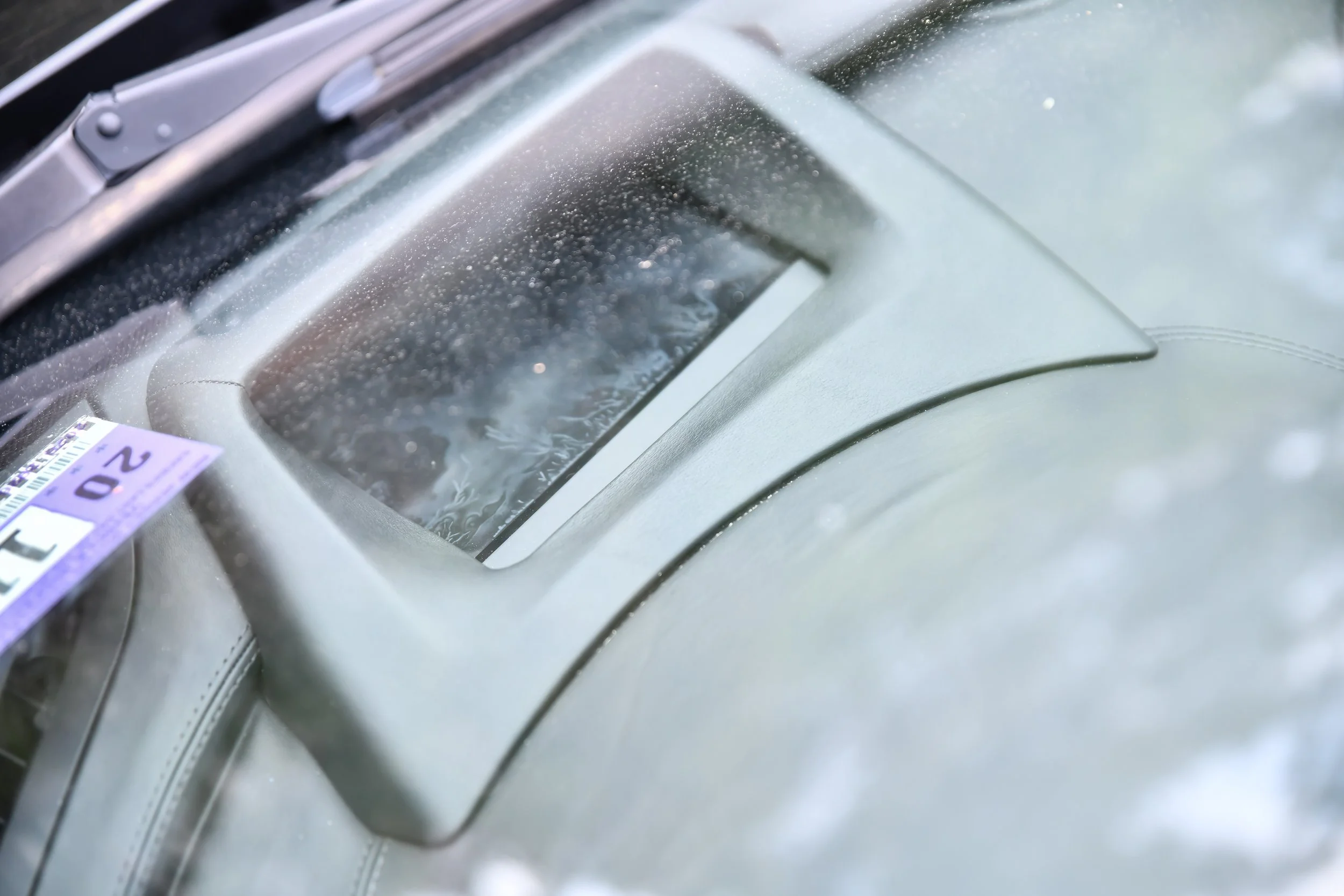 DSC_5669.jpg