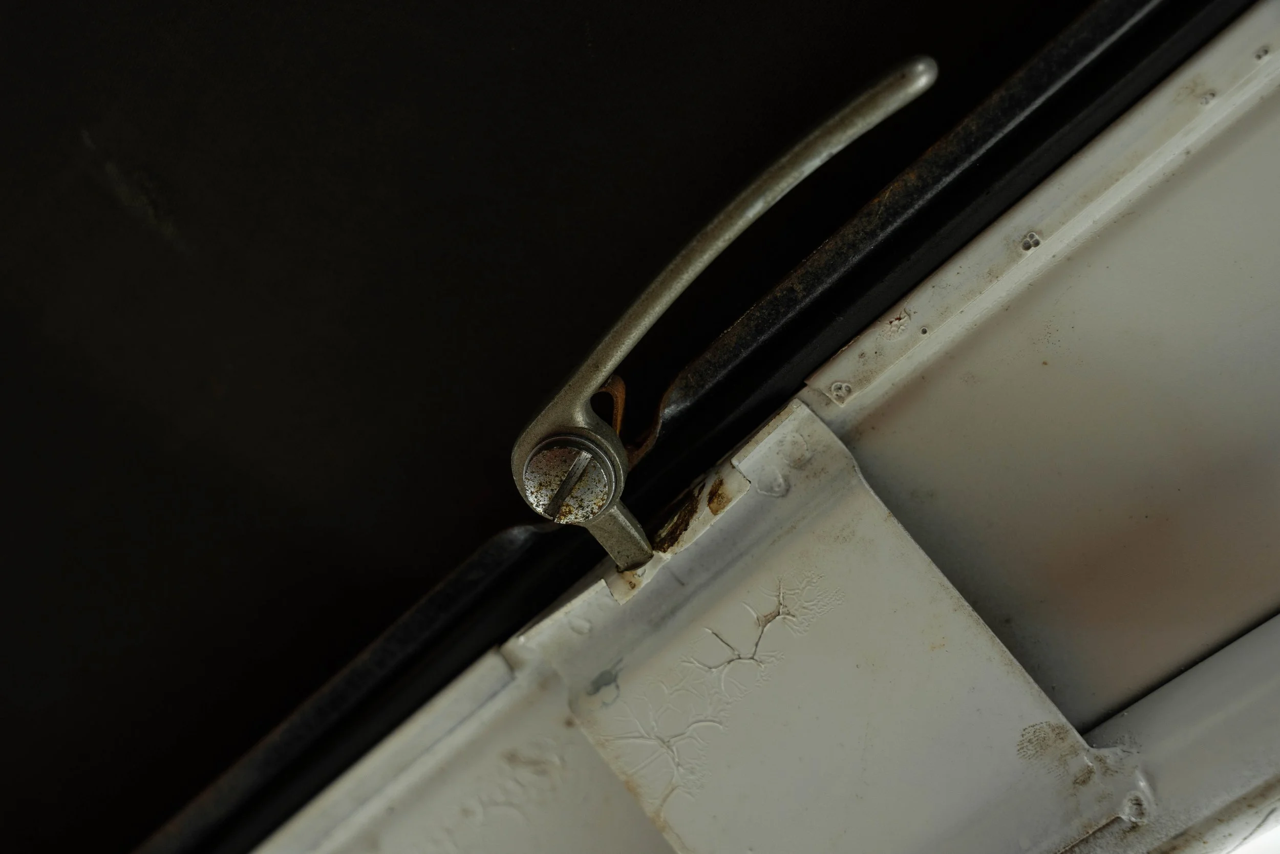 DSC08067.jpg