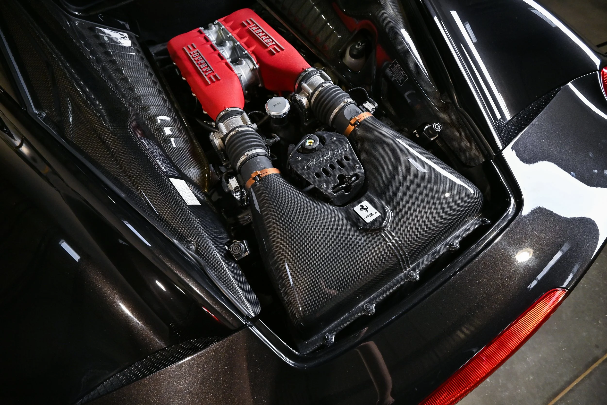 DSC_5365.jpg
