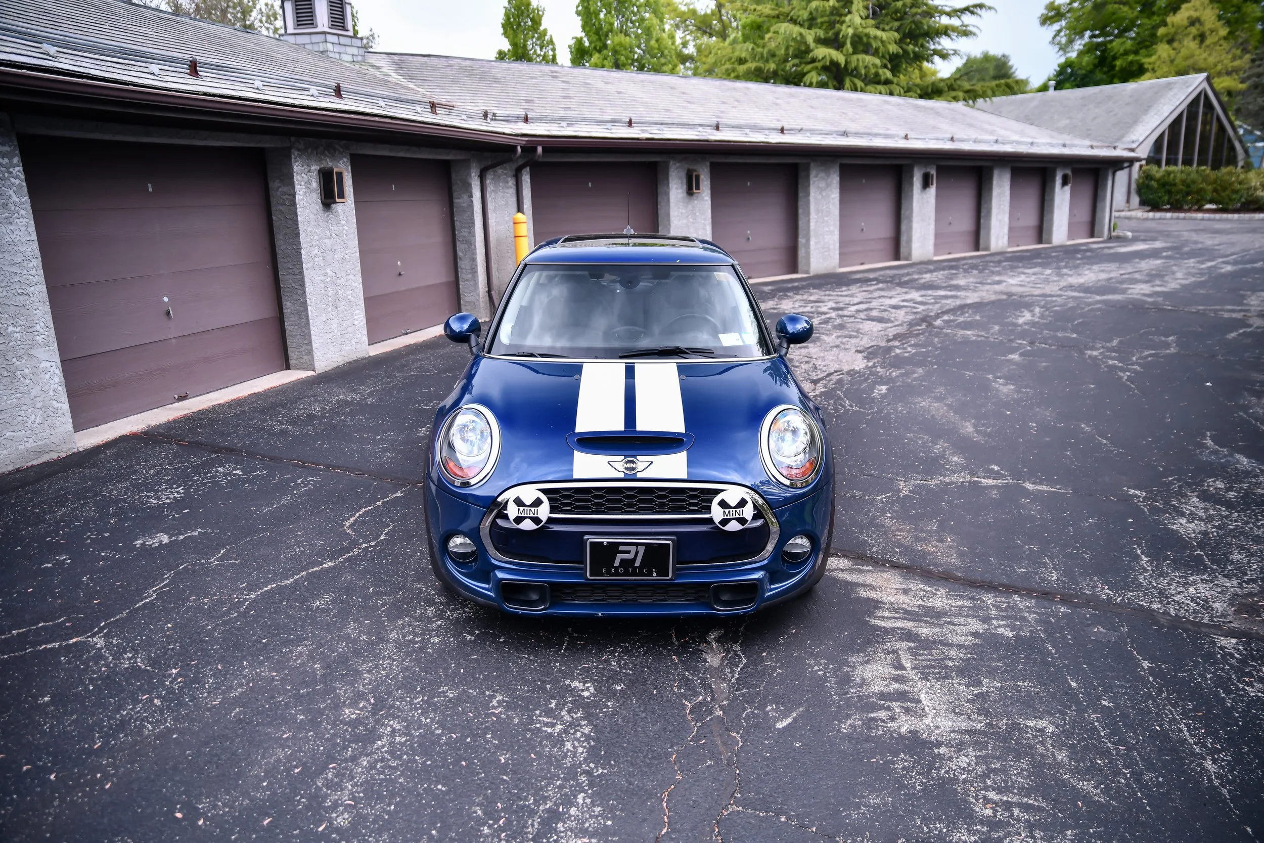 DSC_5386.jpg