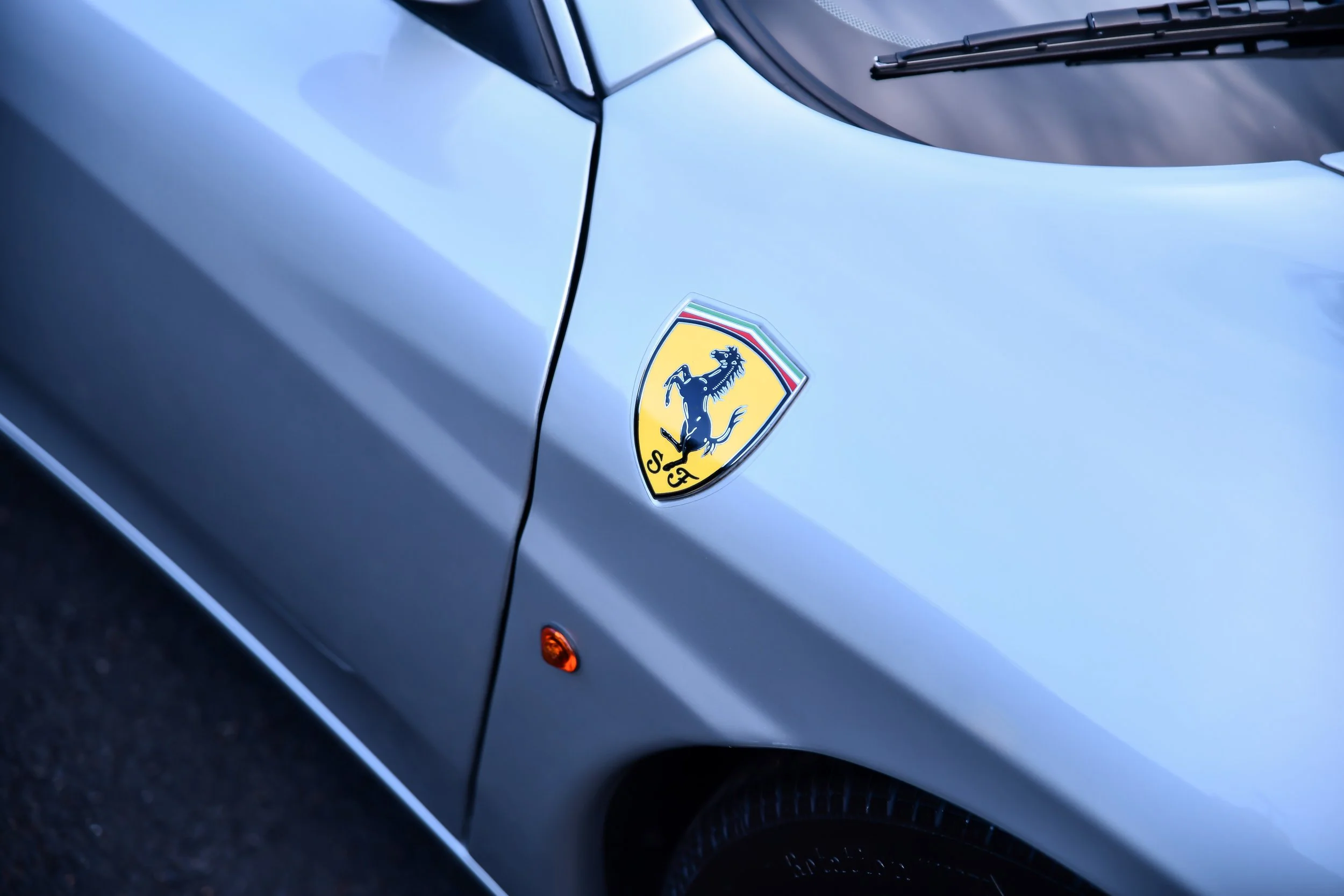 DSC_7629.jpg