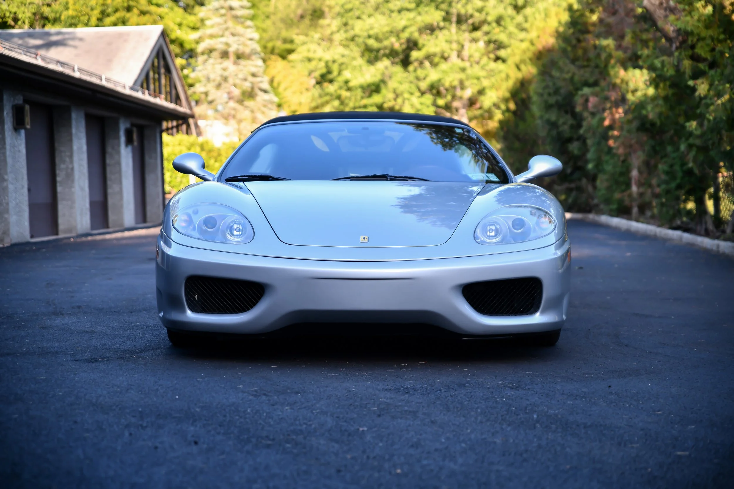 DSC_7560.jpg