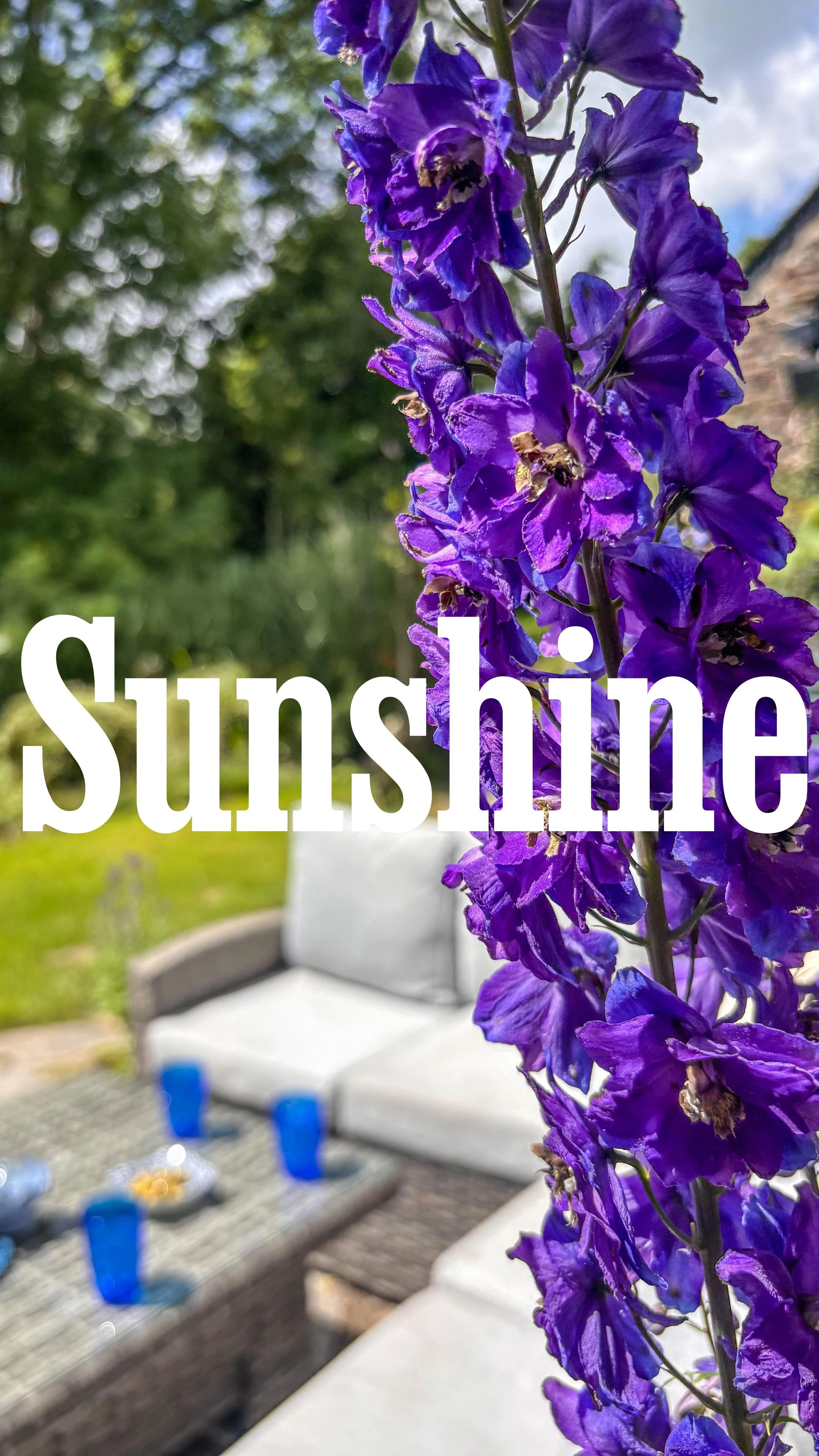 Golitha Cottage feeling absolutely wonderful in the sunshine today! ☀️🌿 The perfect spot to relax, unwind, and soak up those Cornish rays.
Who else could picture themselves enjoying a chilled drink here after a day exploring? 🍹✨
📍Tag someone you