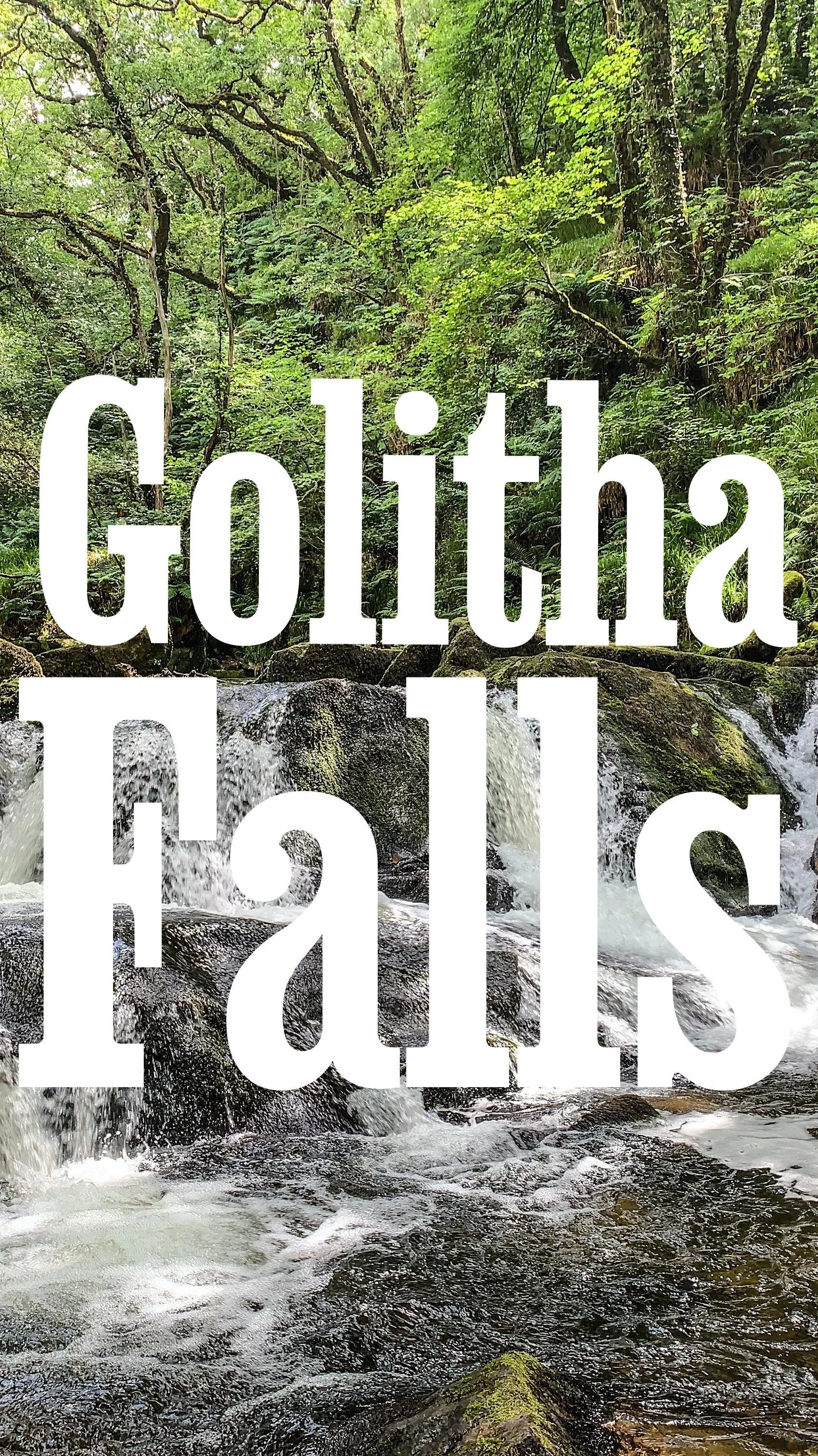 Few places show off autumn quite like Golitha Falls – and it’s right on our doorstep. ππ¦
Picture golden leaves tumbling into rushing water, followed by a cosy evening back at your cottage with a hot chocolate or glass of wine.
From dra