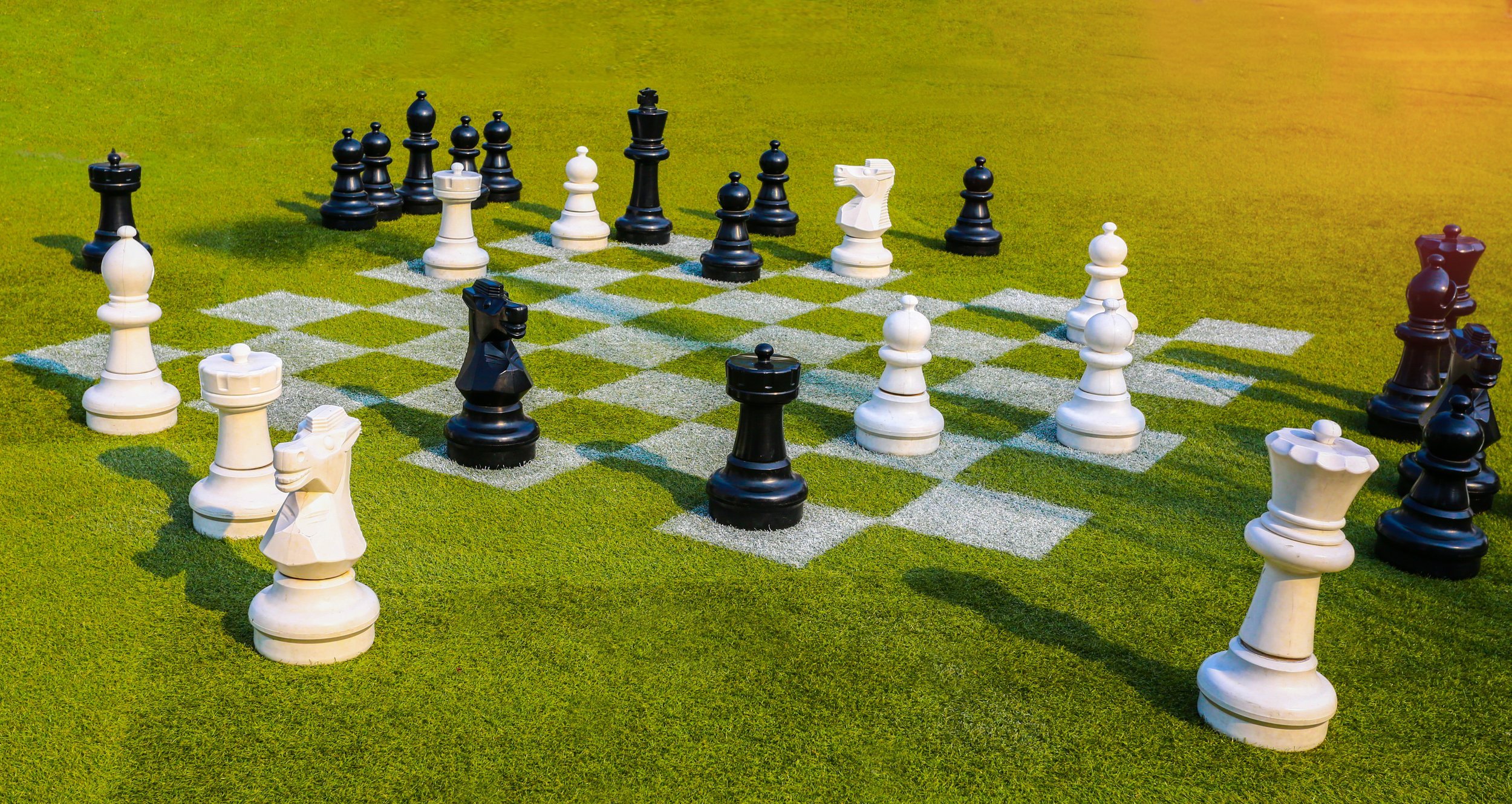 Grass+Chess.jpeg