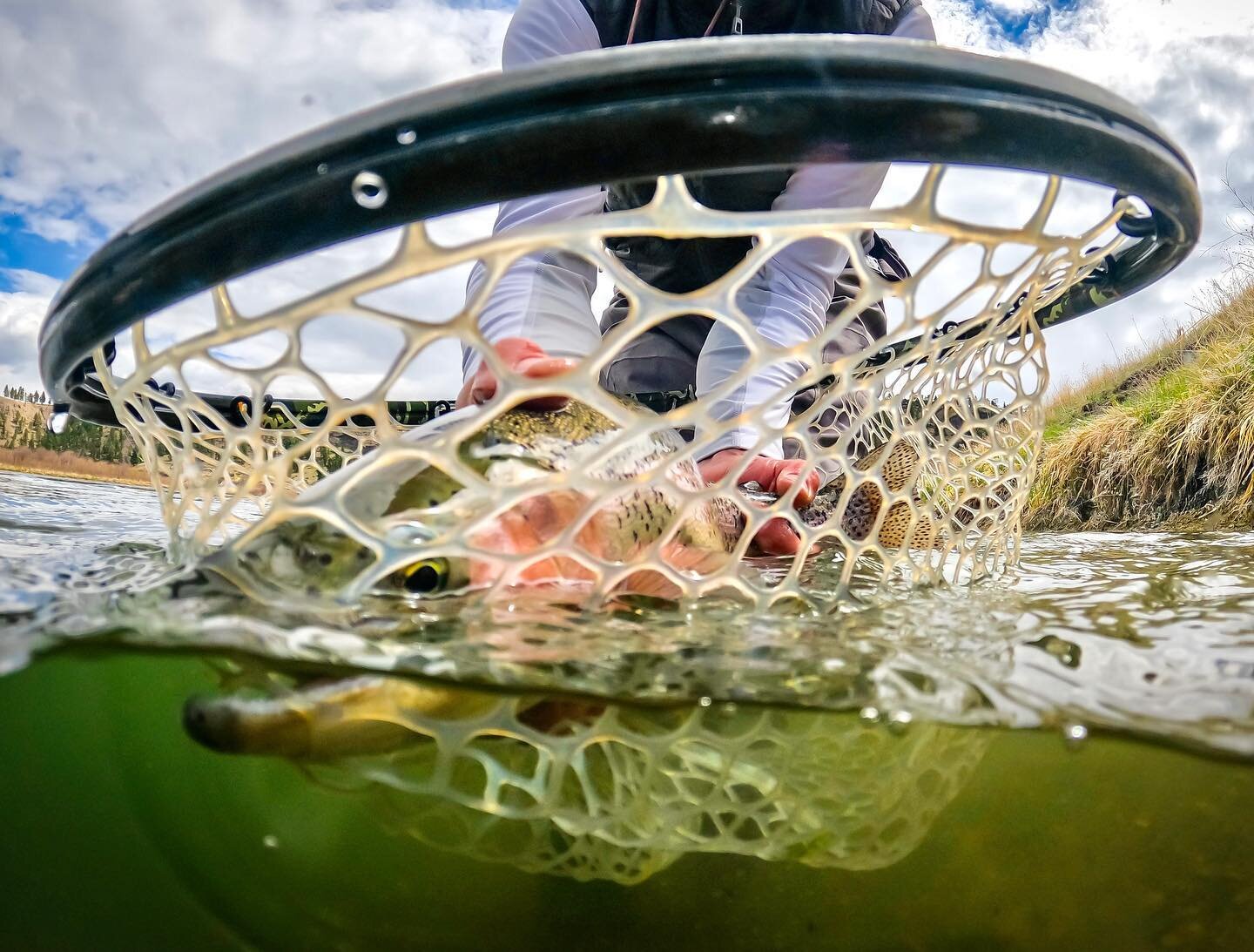 Pinched barbs and a quick release are key as summer rolls on. 
#keepemwet #hopperfishing #flyfishing #montana #pinchedbarb #summertimerolls #flyfishmontana406