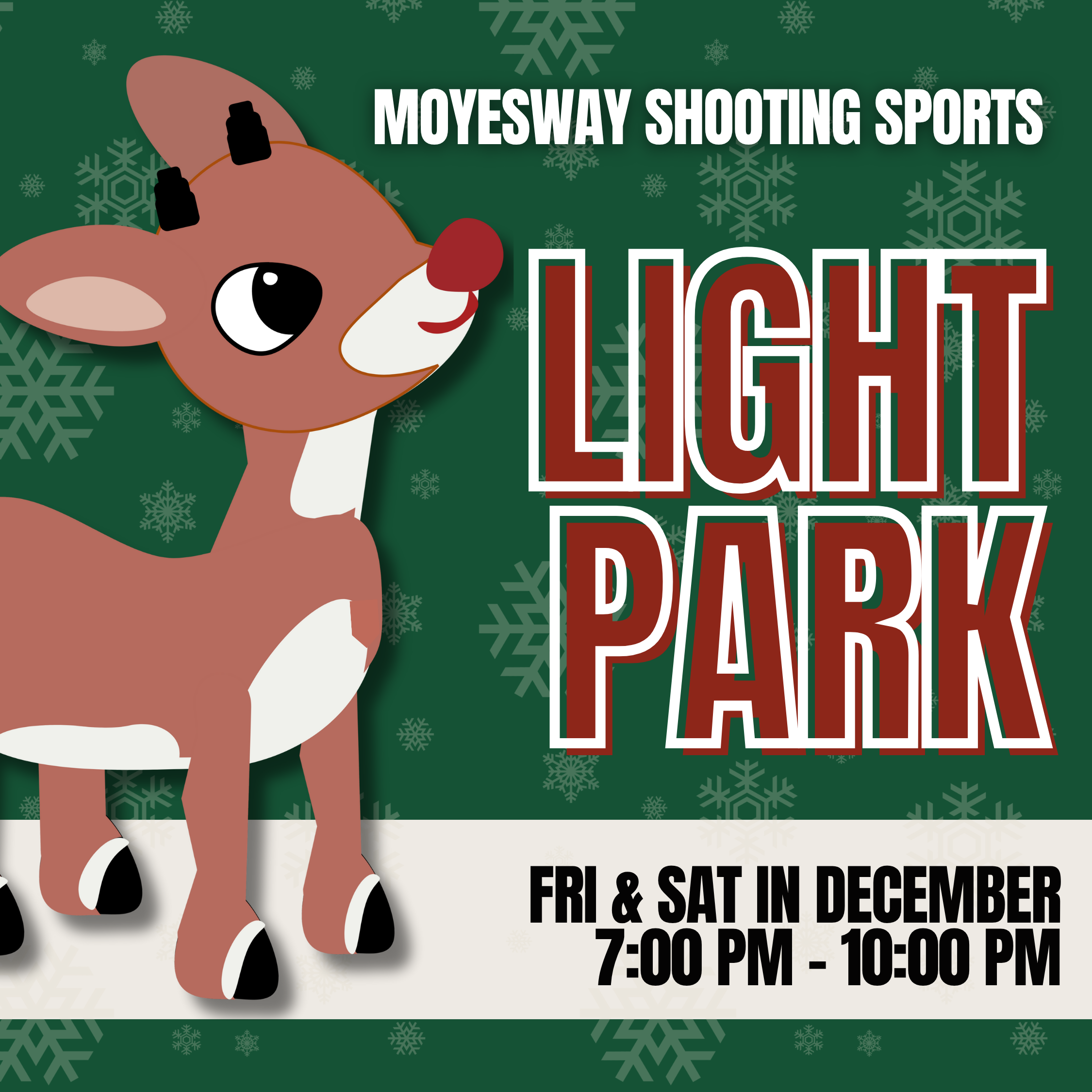 Christmas Light Park