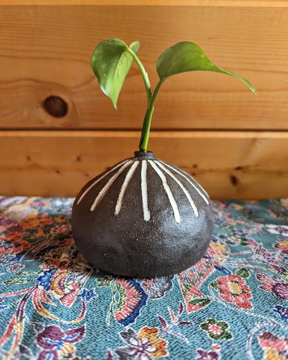 Ouray Public Library - Clay Pinch Pot Pottery for Teens, part 2