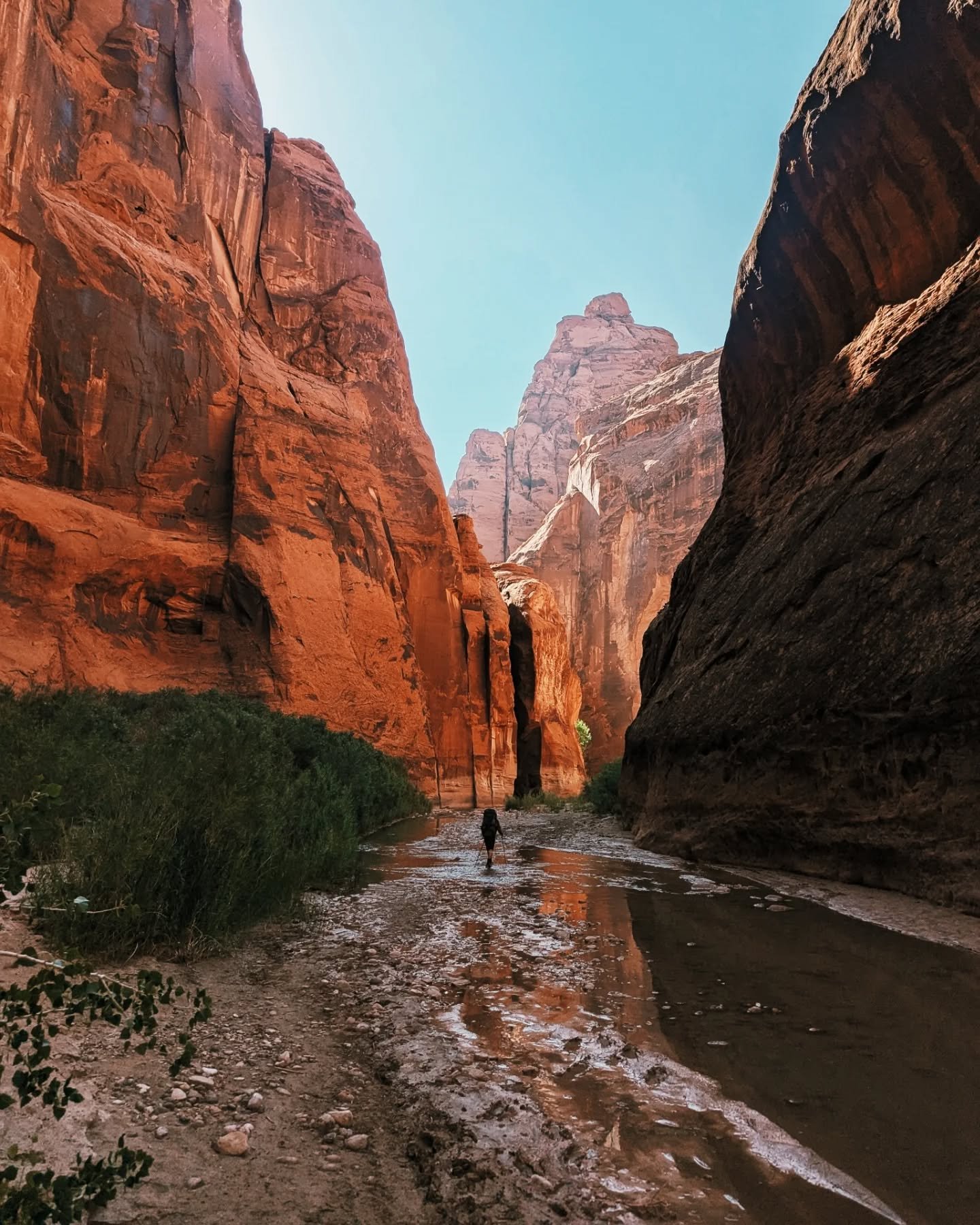 A sandy summer solstice spent 
in the depths of our precious Earth
Public lands are for everyone
Where all beings belong.*

Just spent four glorious days and nights outside and off screens with my favorite human! I wish this bliss for you, too. 🏵️🏜