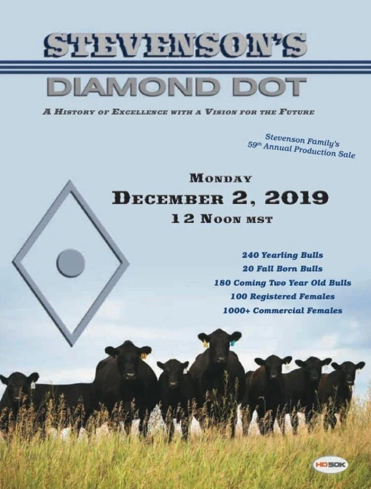 2019 Catalog Cover for Stevenson's Diamond Dot Cattle, along with many ads, filler photos, and marketing projects from 2018 on.