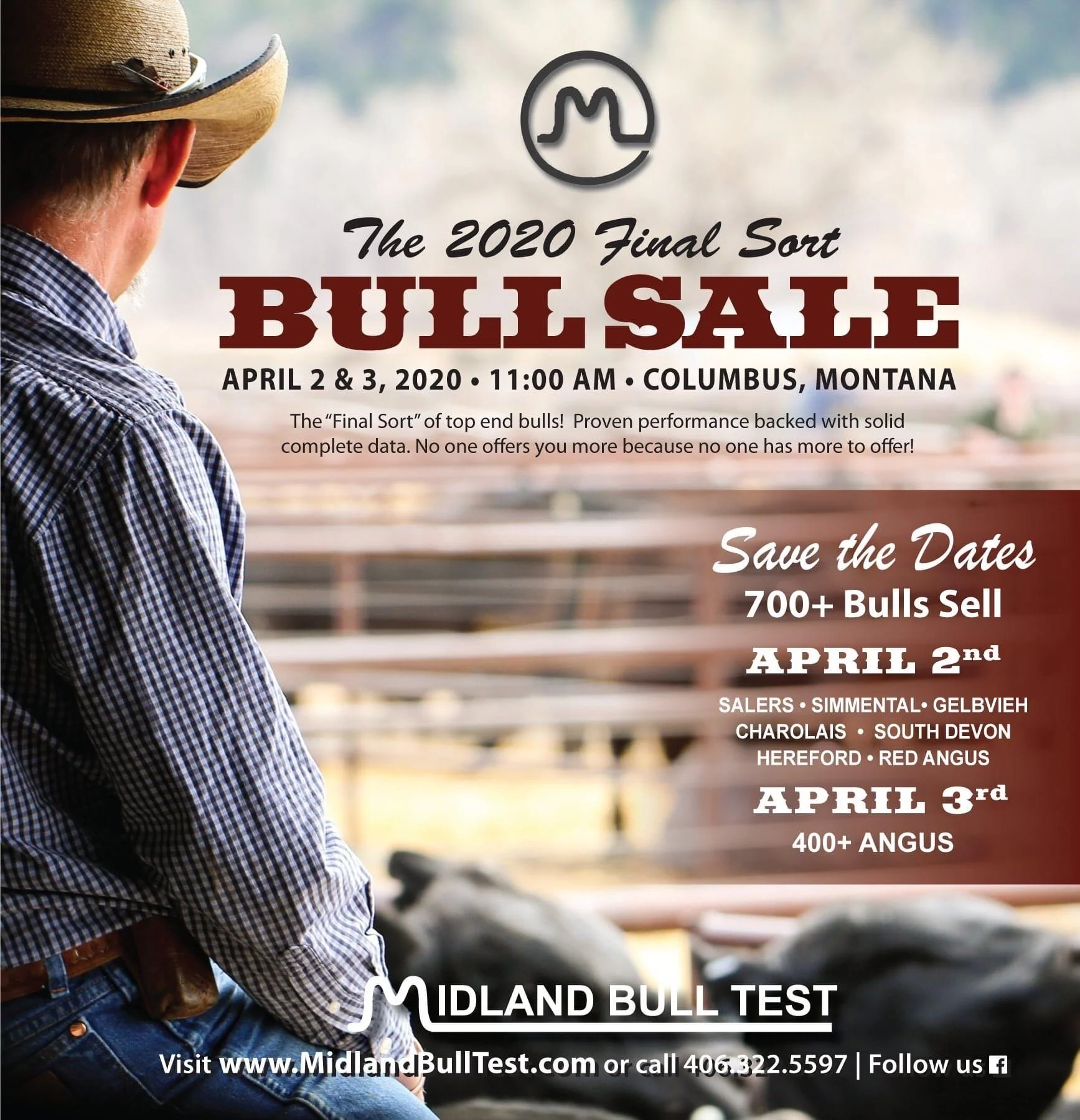 Midland Bull Test used photos for their 2019 and 2020 catalog covers, along with filler photos, and marking along the way.