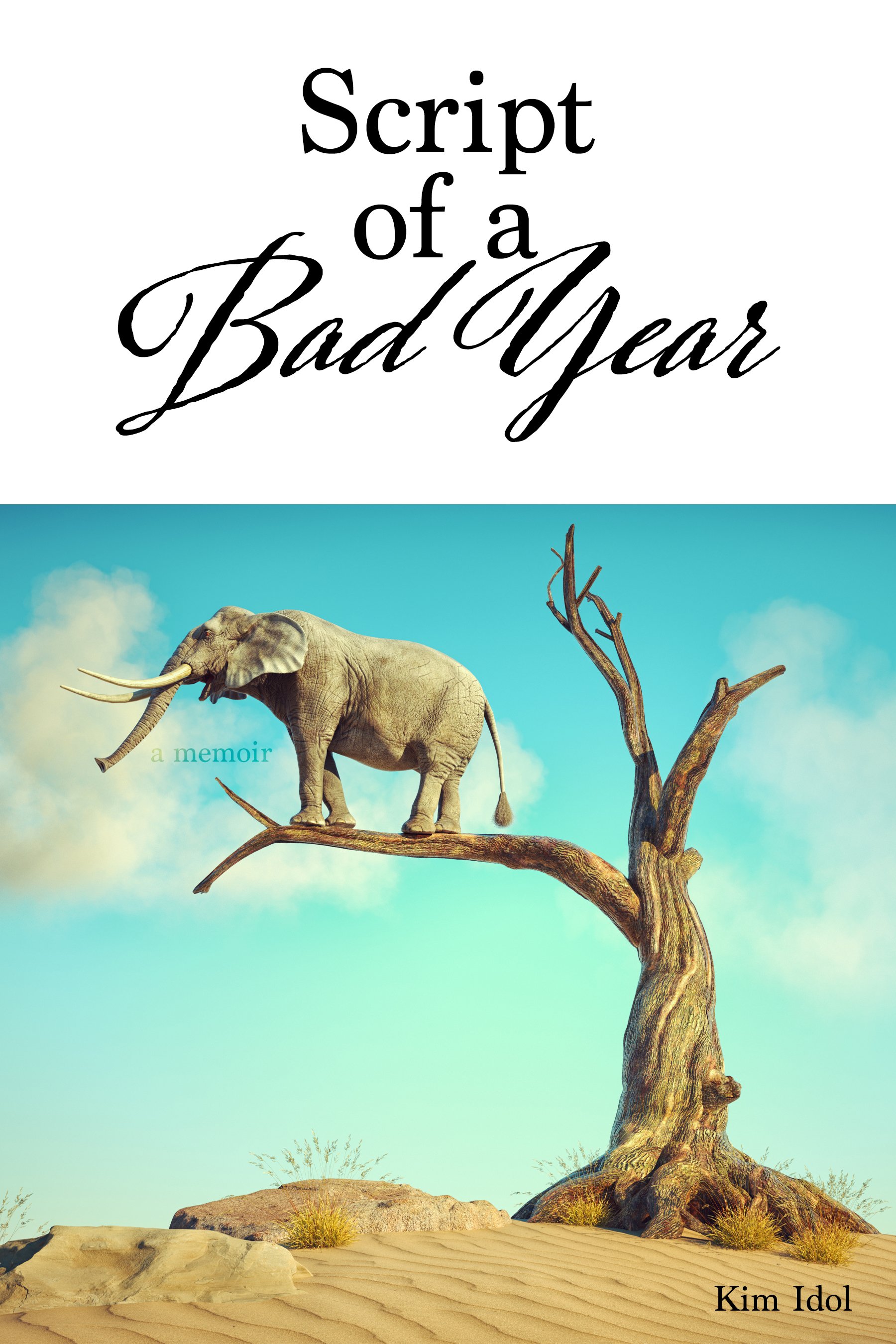 Script of a bad year cover