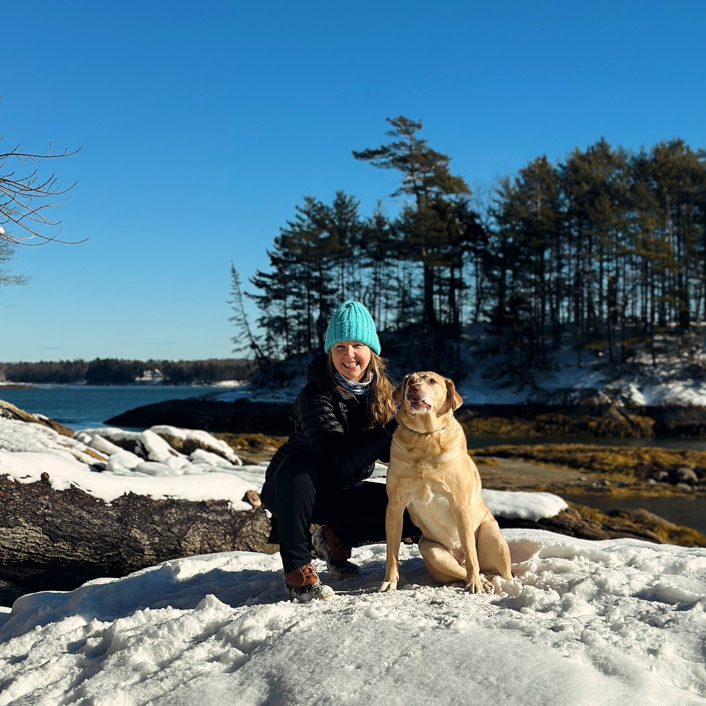 It&rsquo;s a beautiful day in Maine and not Too Cold for me to be outside 🥶! This is one of my fav spots and also happens to be a painting I am working on (swipe ⬅️). Something super cool 😎 happens in those trees behind me every June 🦅🦅! Love lov