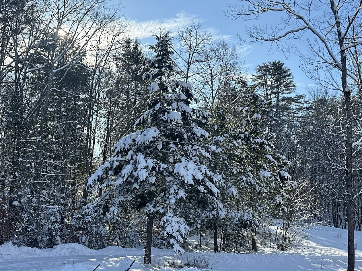 Not Too Cold To Toodle