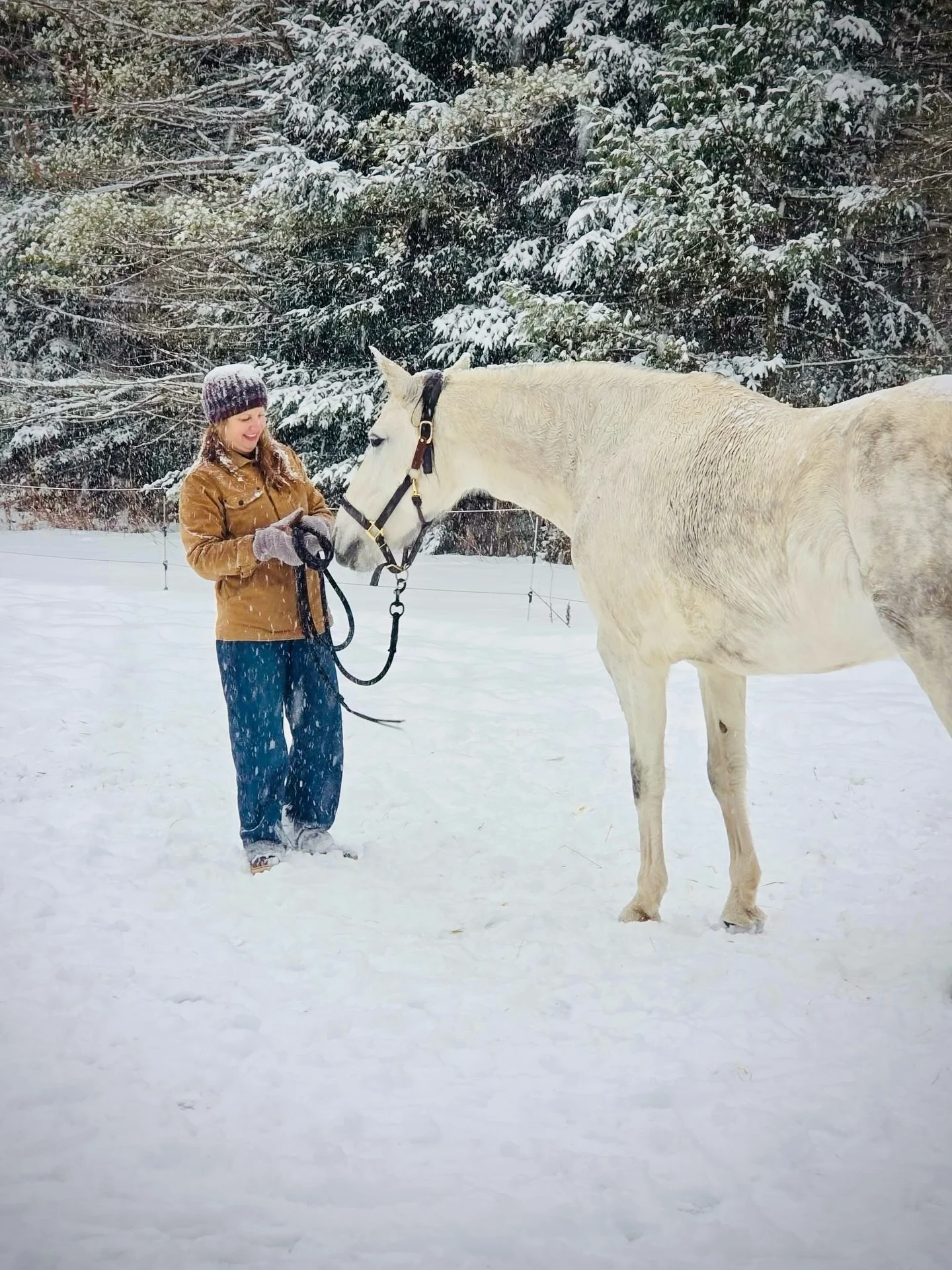 She&rsquo;s not mine, but what an honor to spend time in her presence, under softly falling snow. To get to know her just a bit.  And a full day workshop with @chrisdlombard .  Much of the conversation, and this from his book below resonates deeply w