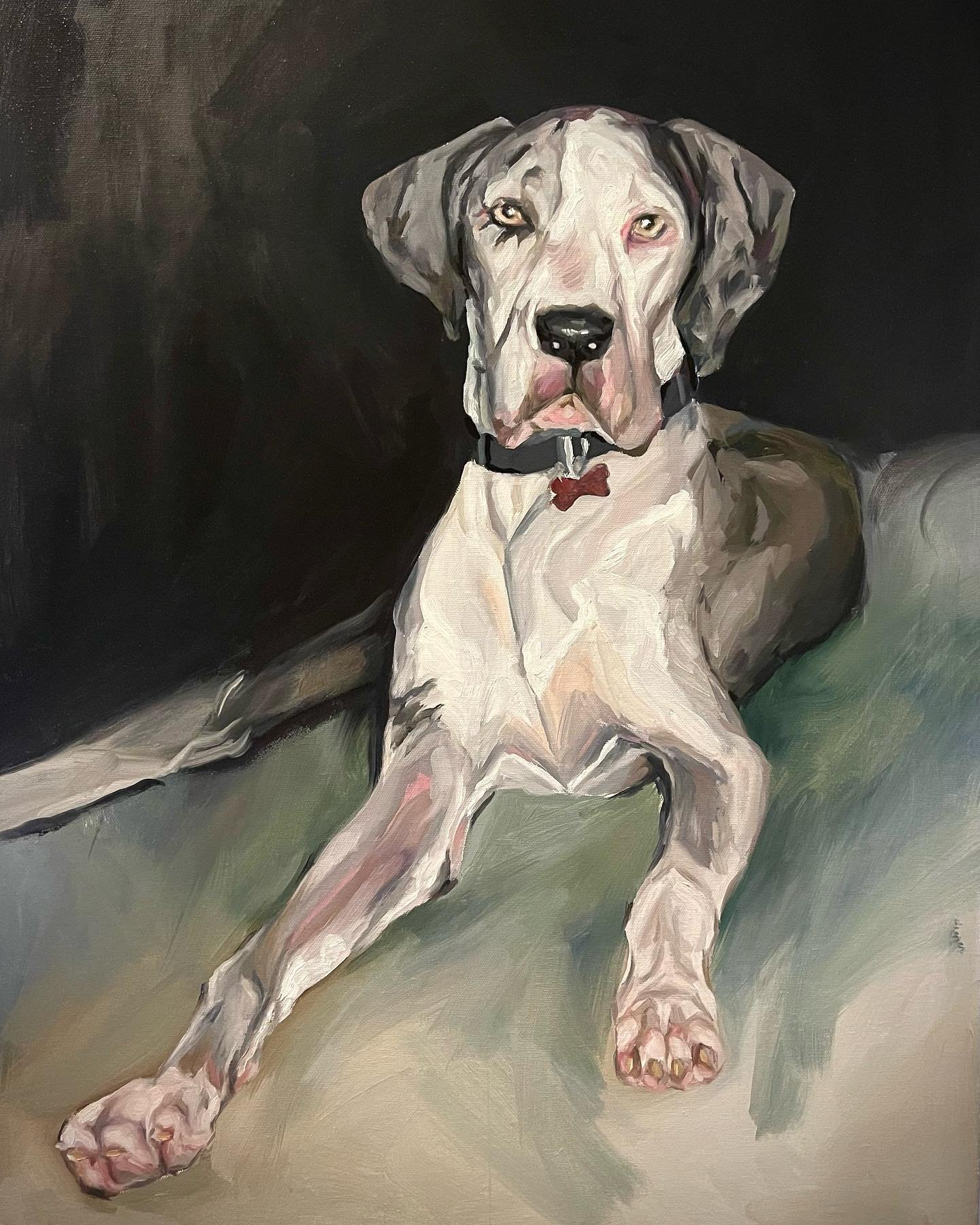 'Shogun' Pet Portrait