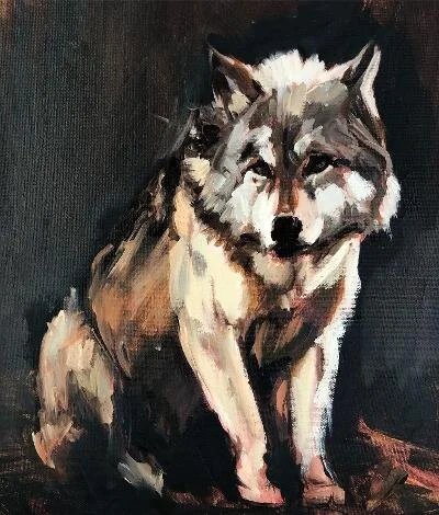 Red Wolf.jpg