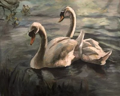Swans.jpg