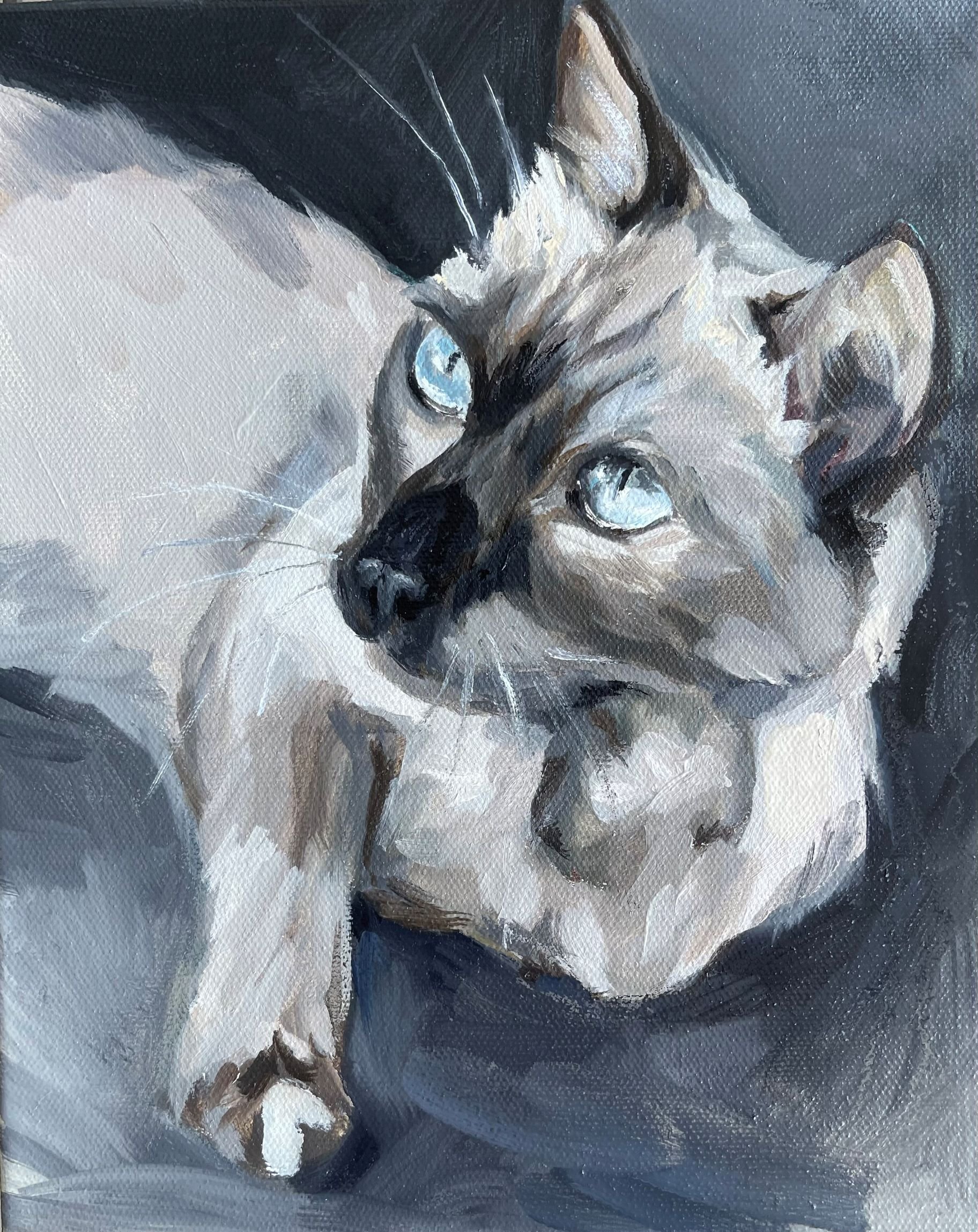 "Vesa" Pet Portrait