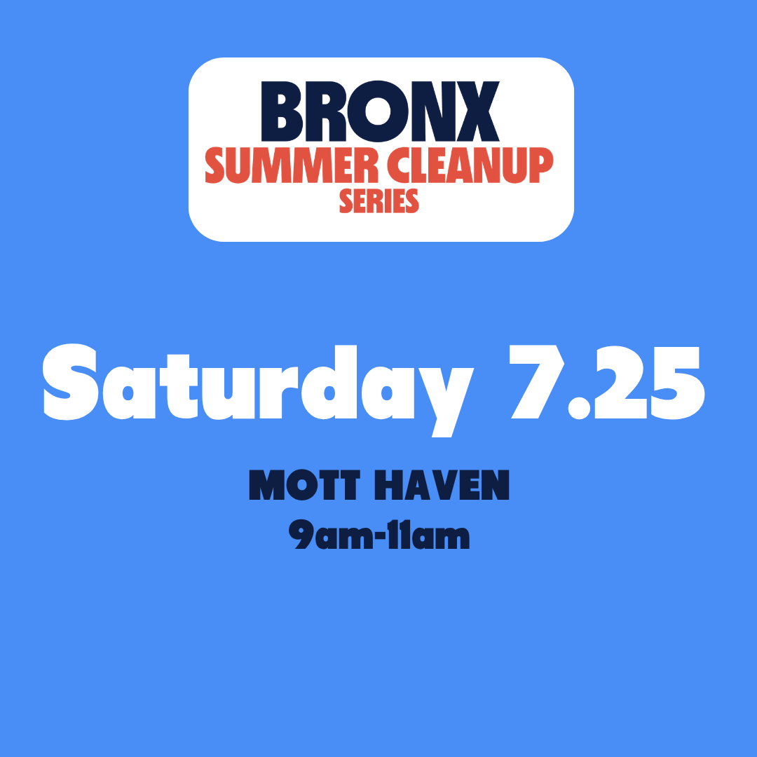 Bronx Summer Cleanup Series | Mott Haven