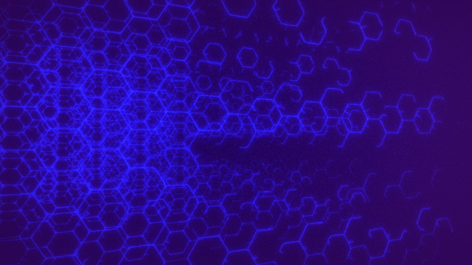 Quantized Still 14.jpeg