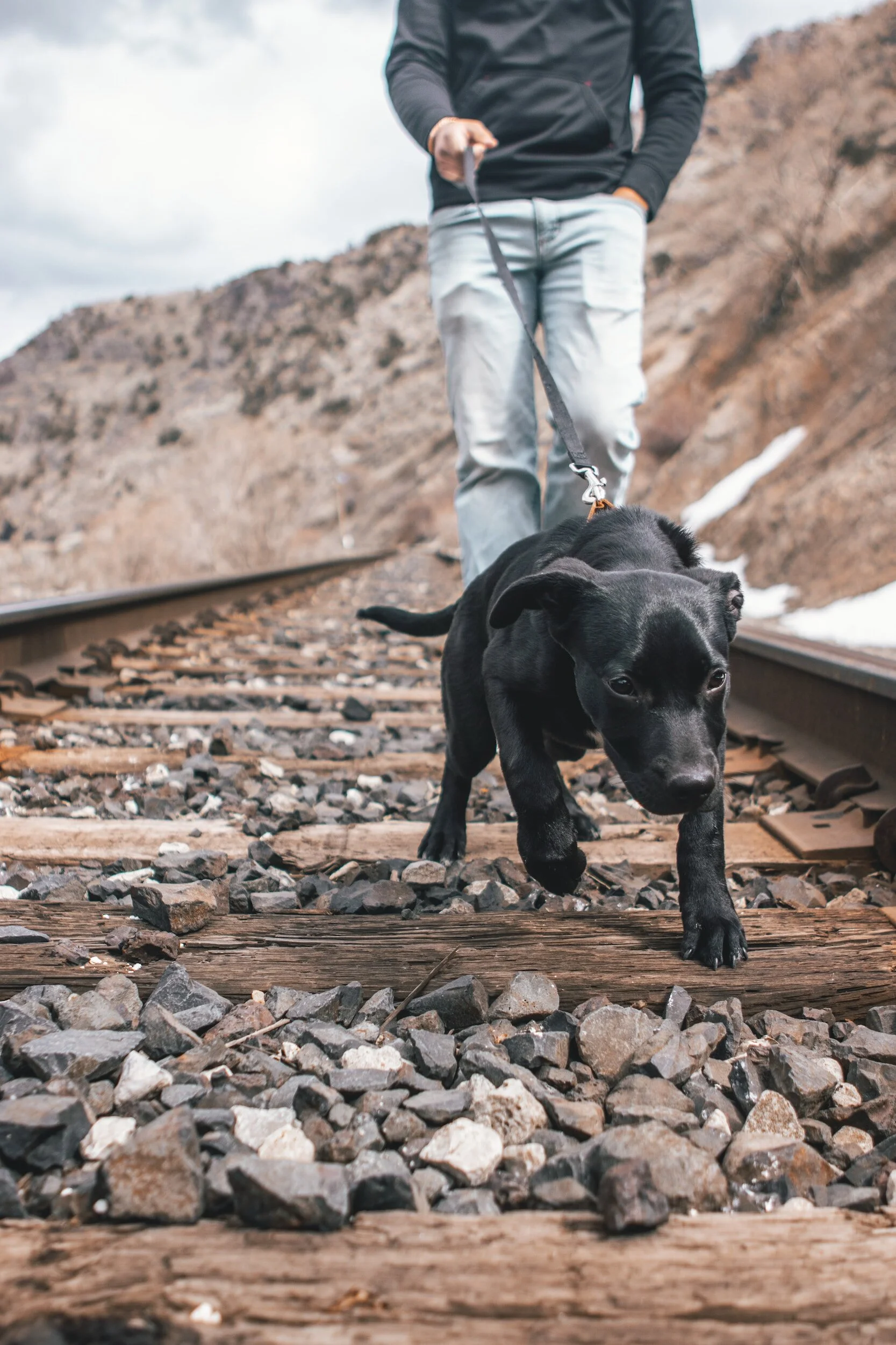 A person walking a black puppy on a railroad track outdoors with rocky hills in the background.